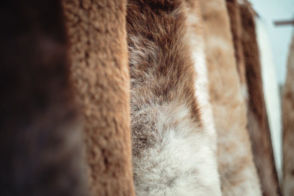 Sheepskins