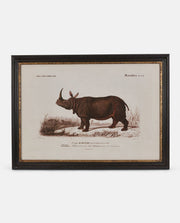Gold Edged Framed Rhino Print