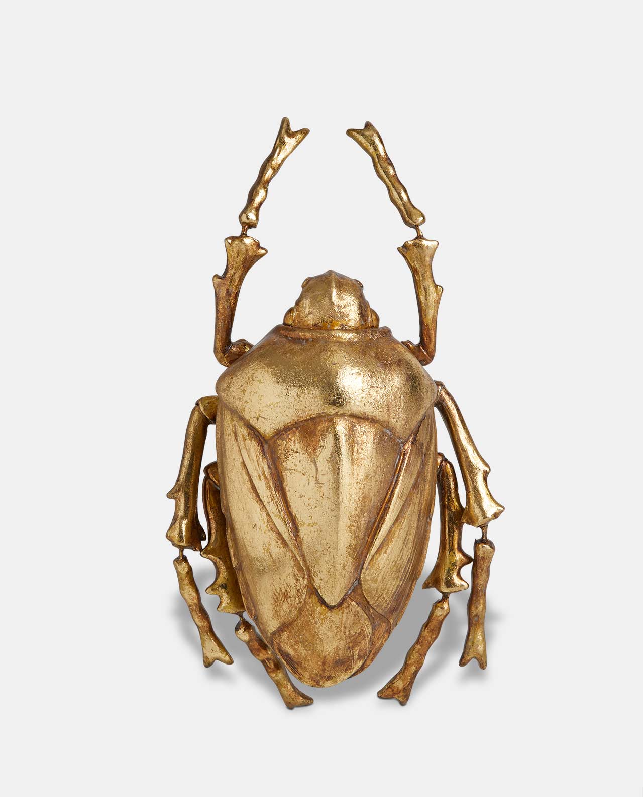 Gold Decorative Beetle