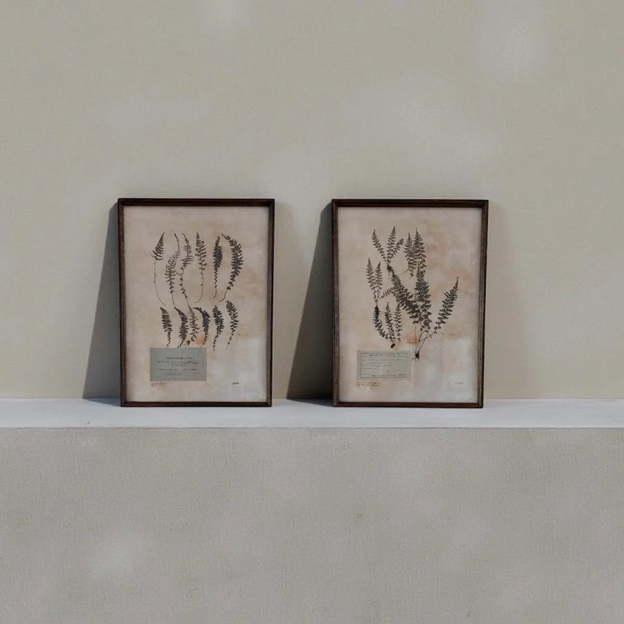 Aged Foliage Wall Art