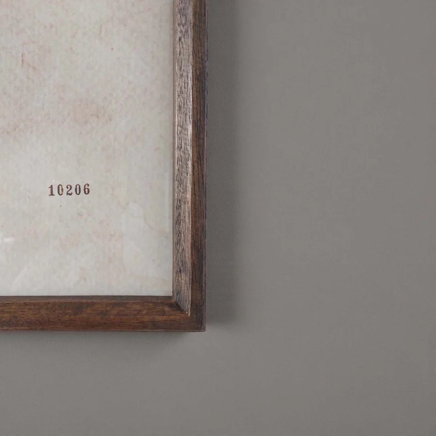 Aged Foliage Wall Art