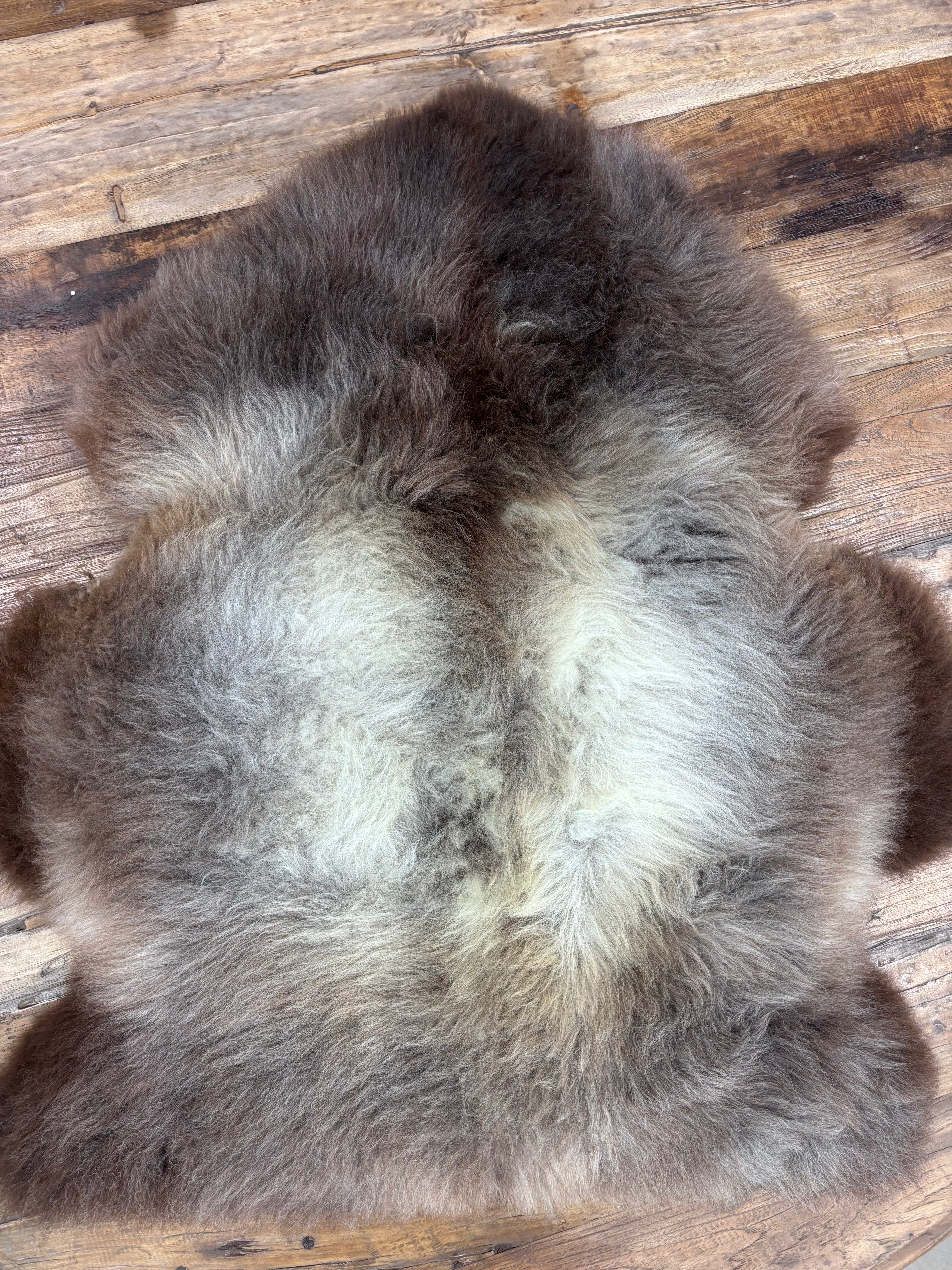 British Rare Breed Sheepskin Dark Brown to Light Brown