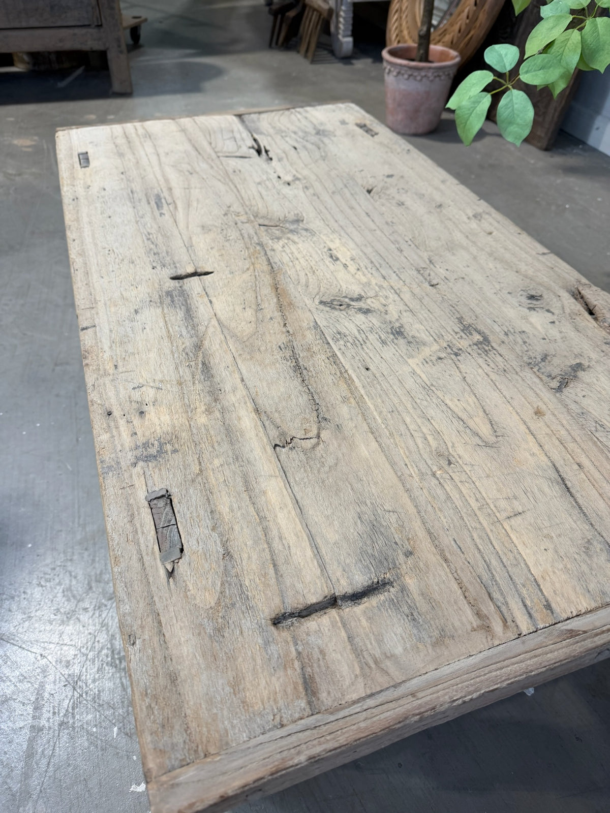 Vintage Elm Coffee Table (Medium)