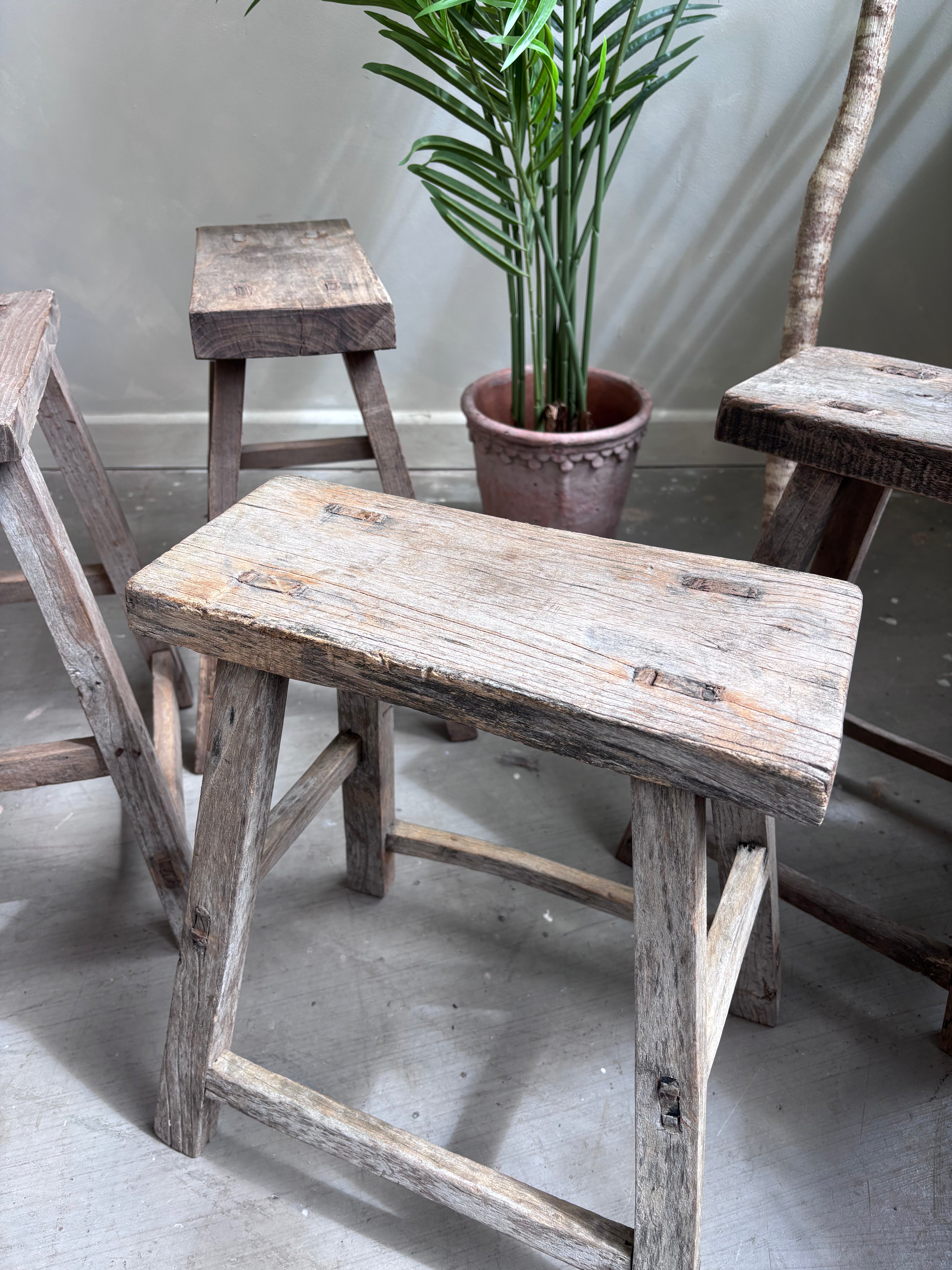 Rustic Elm Stool
