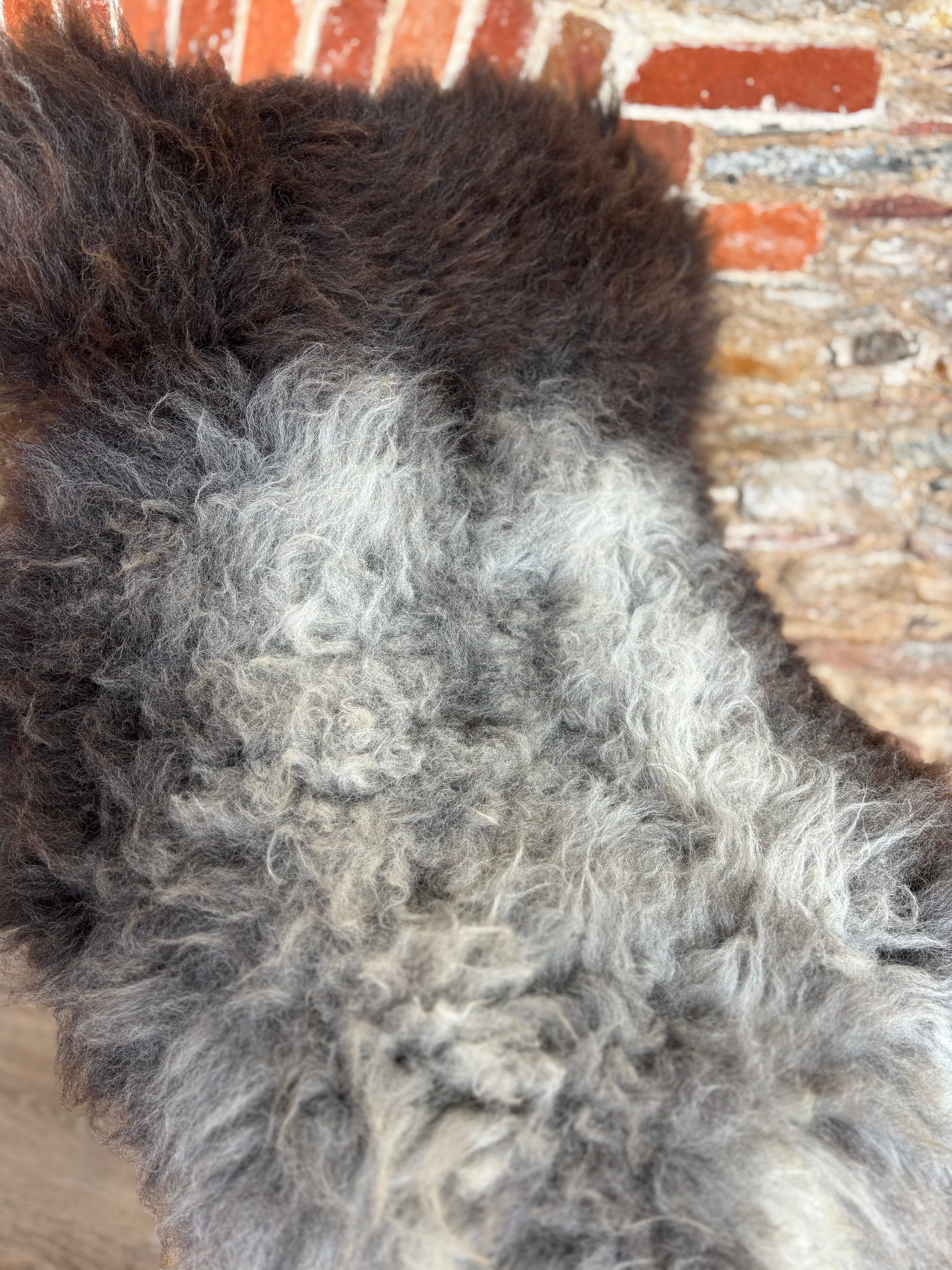 Welsh Mountain Rare Breed Cross Sheepskin
