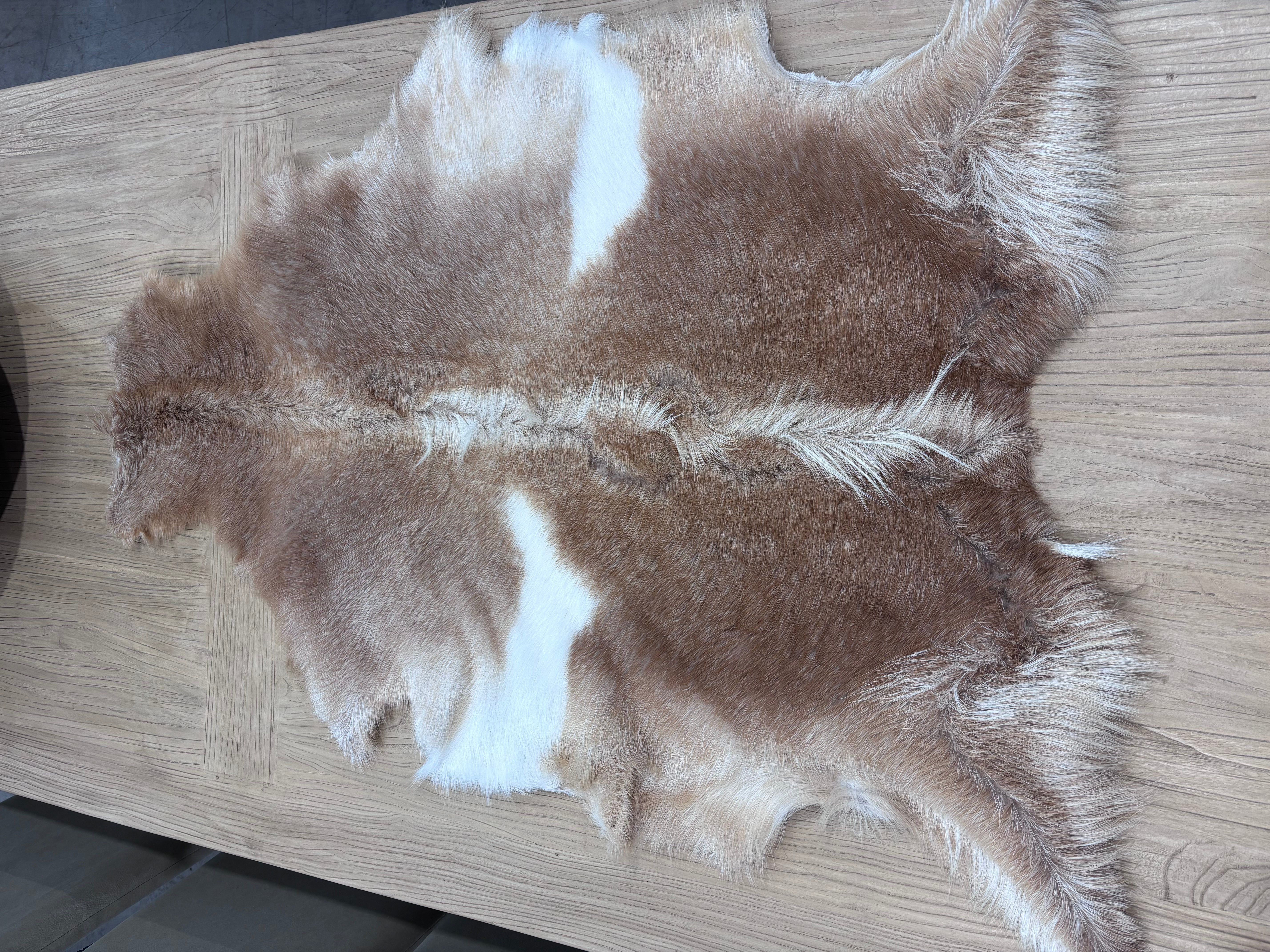 British Rare Breed Goatskin - Large