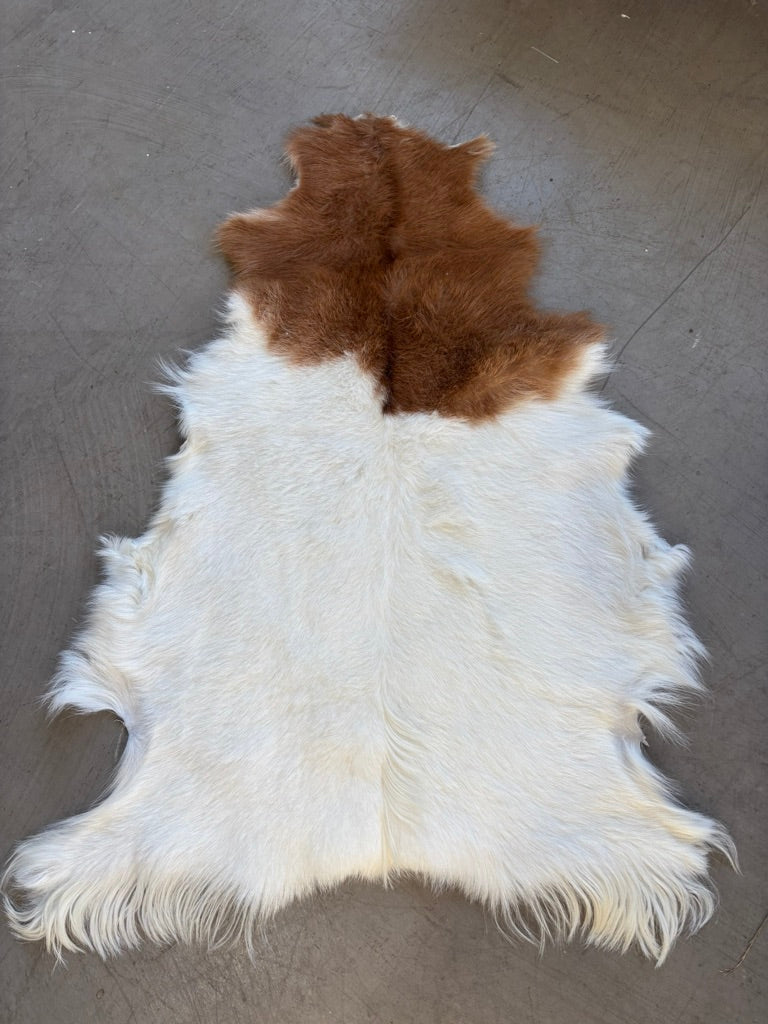 British Rare Breed Goatskin