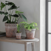 Bratton Planter