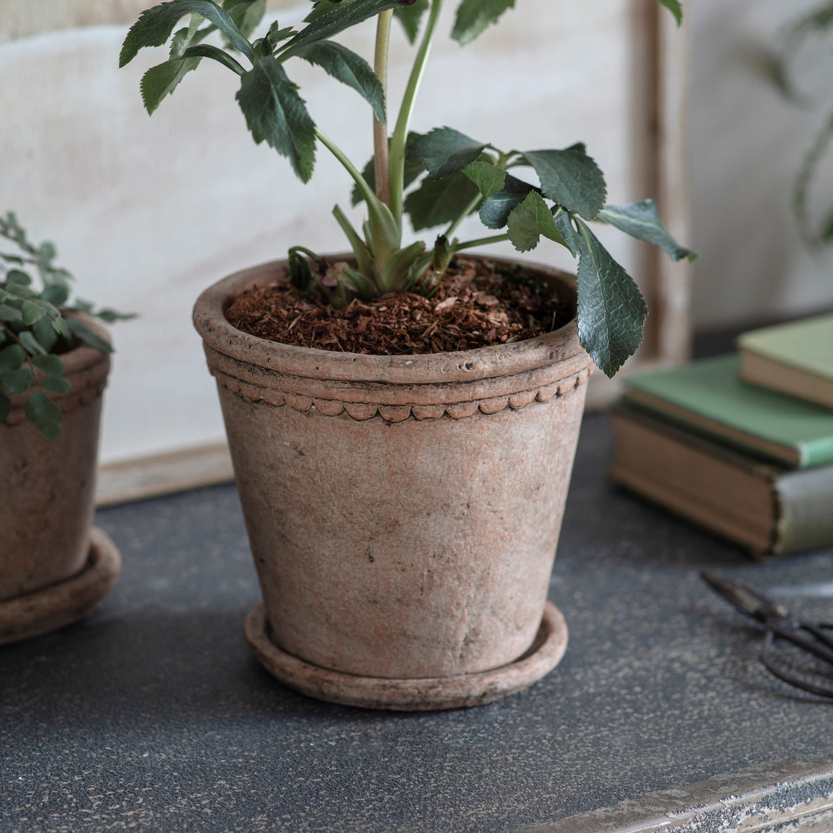 Milstone Planter