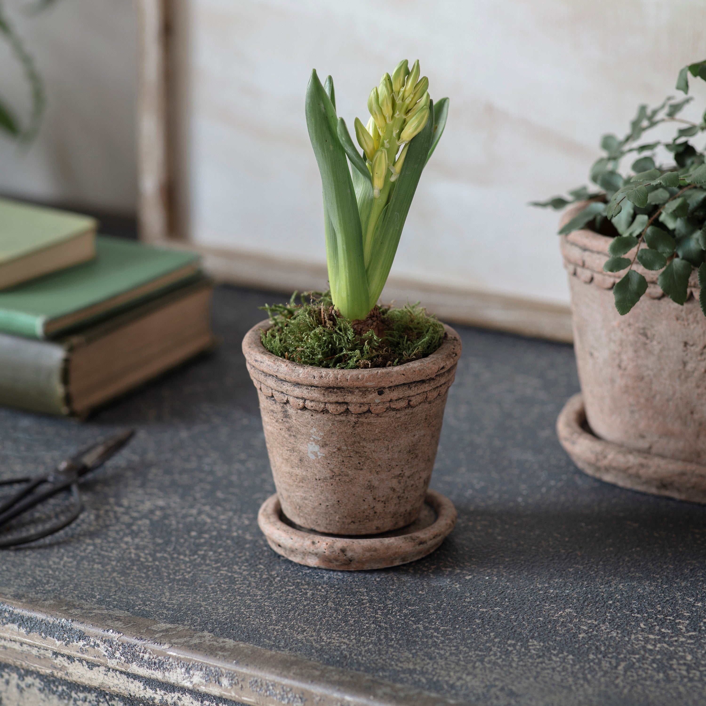 Milstone Planter