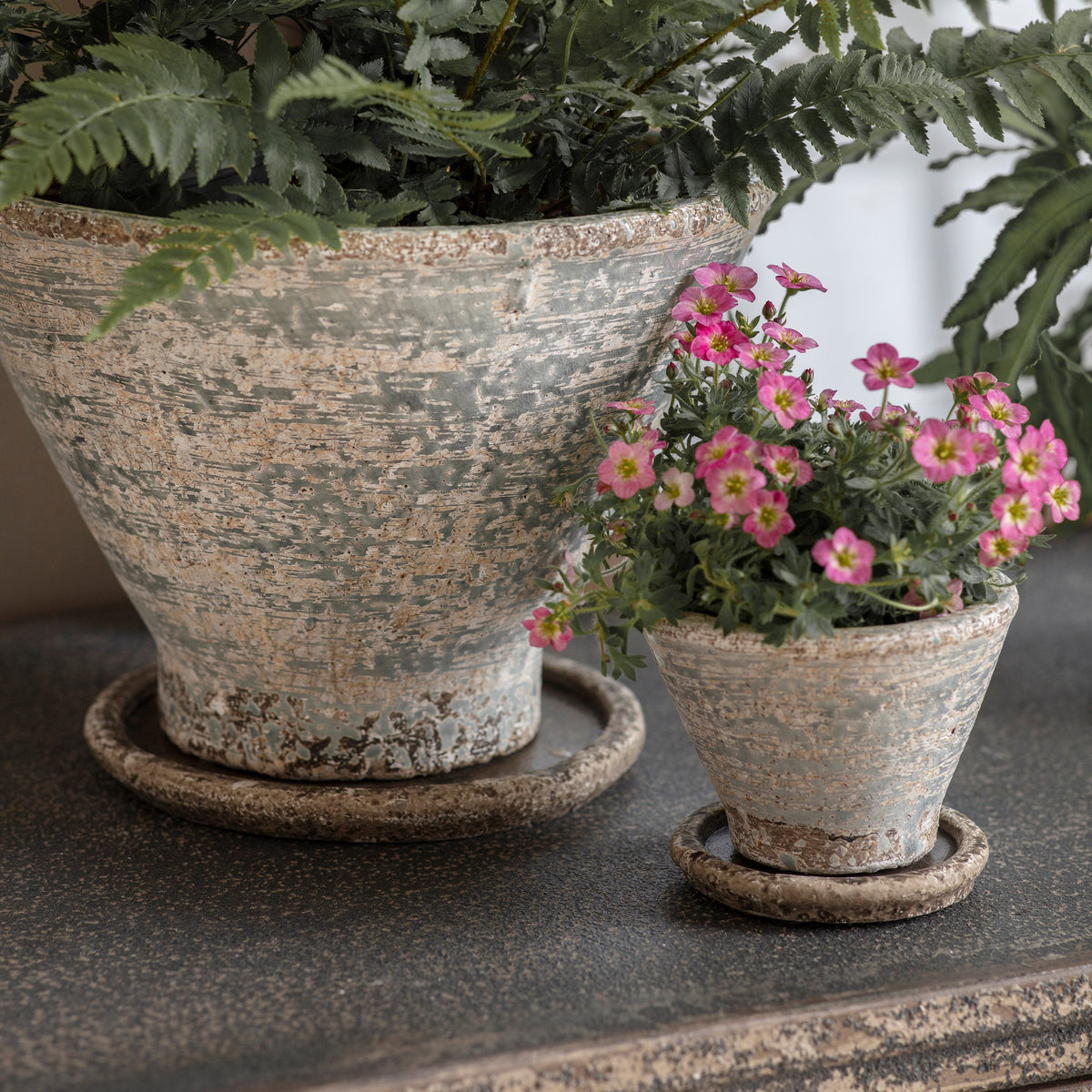 Colerne Planter