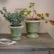 Patcham Planter