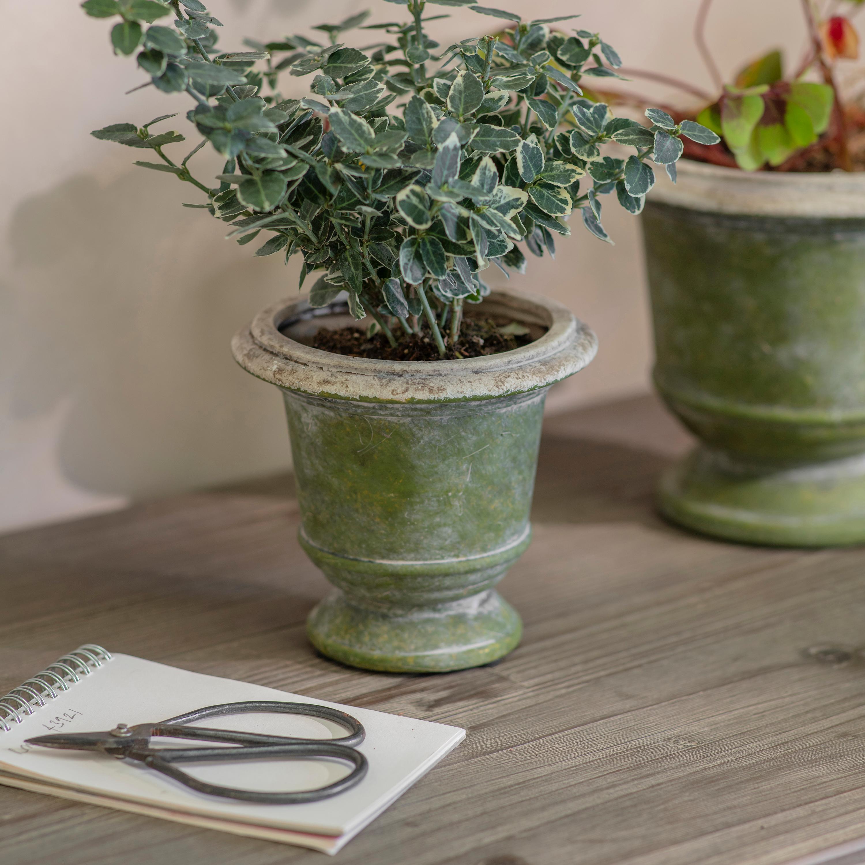 Patcham Planter