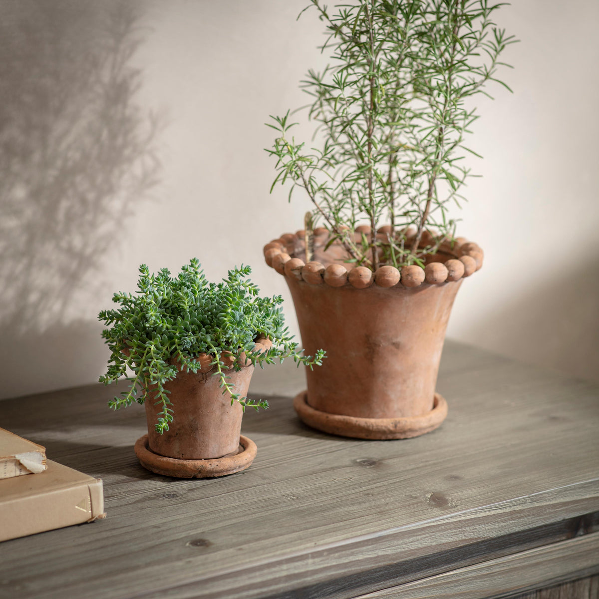 Layton Planter