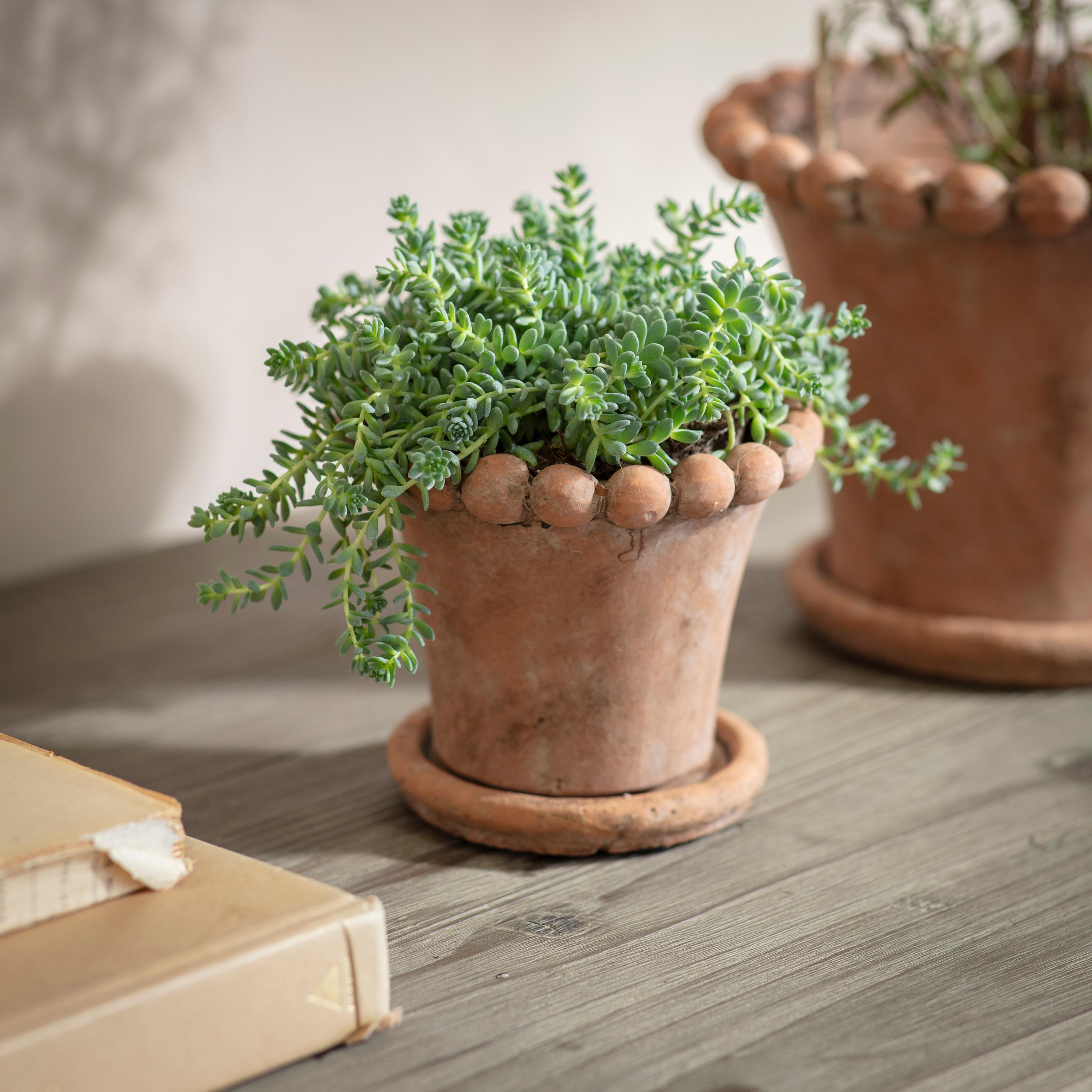 Layton Planter