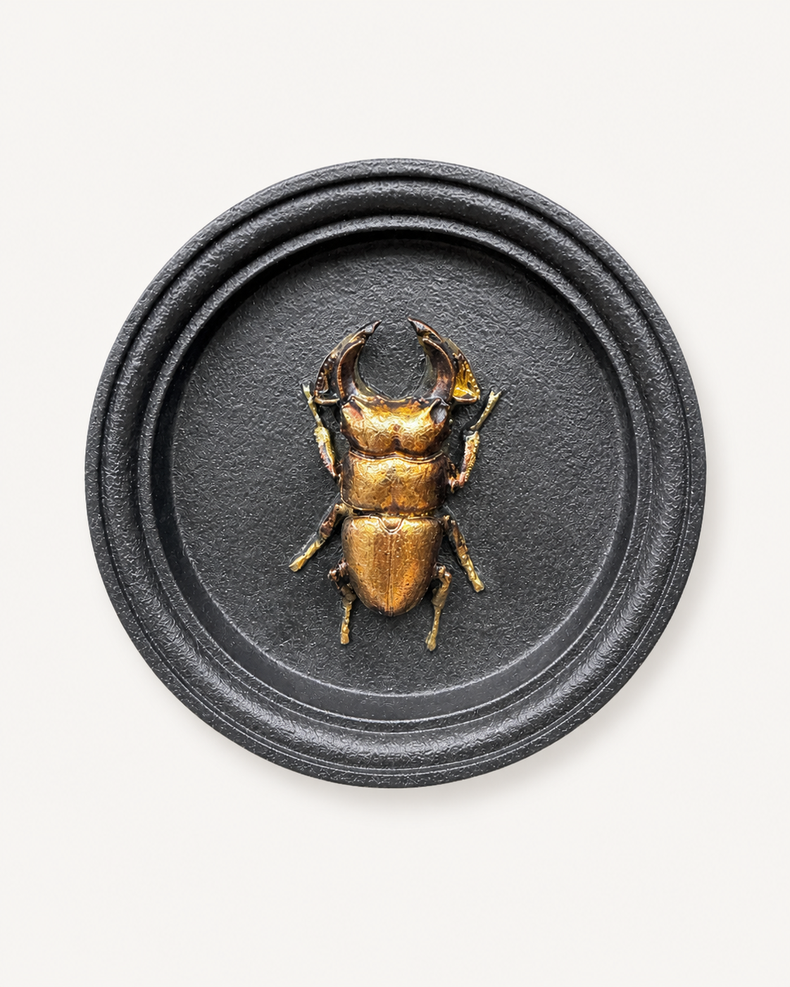Black & Gold Beetle Wall Decor (S)