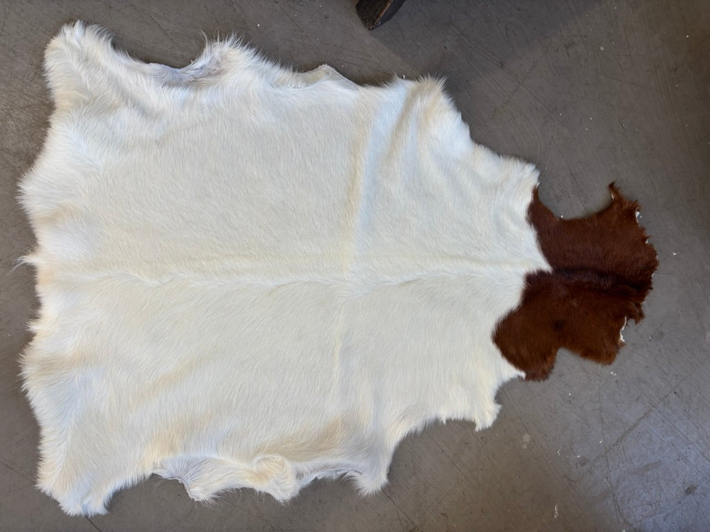 British Rare Breed Goatskin