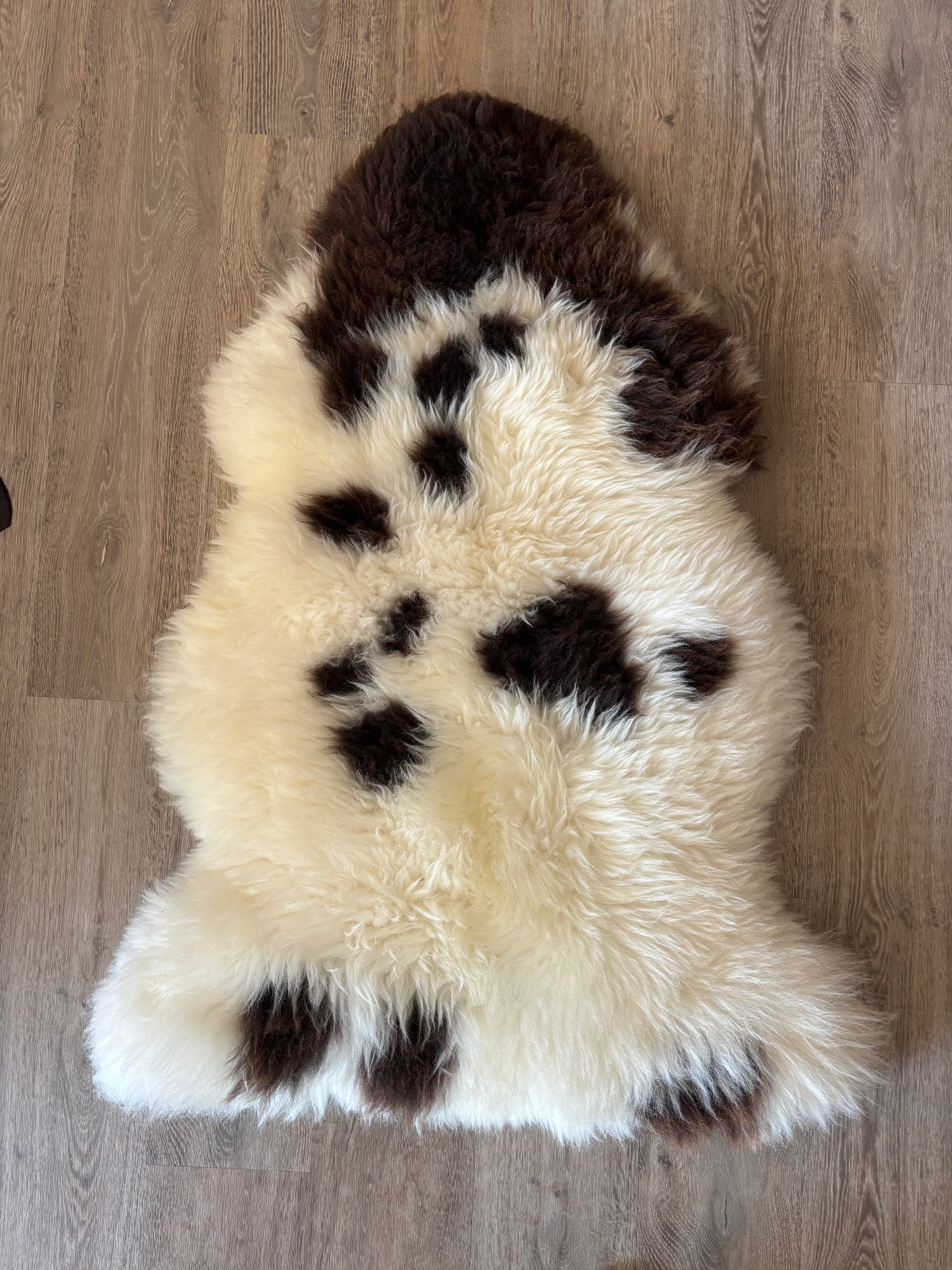 Rare Breed Jacob Sheepskin