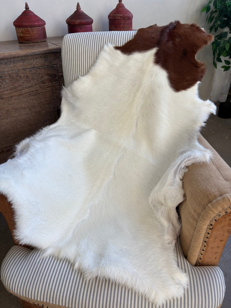 British Rare Breed Goatskin