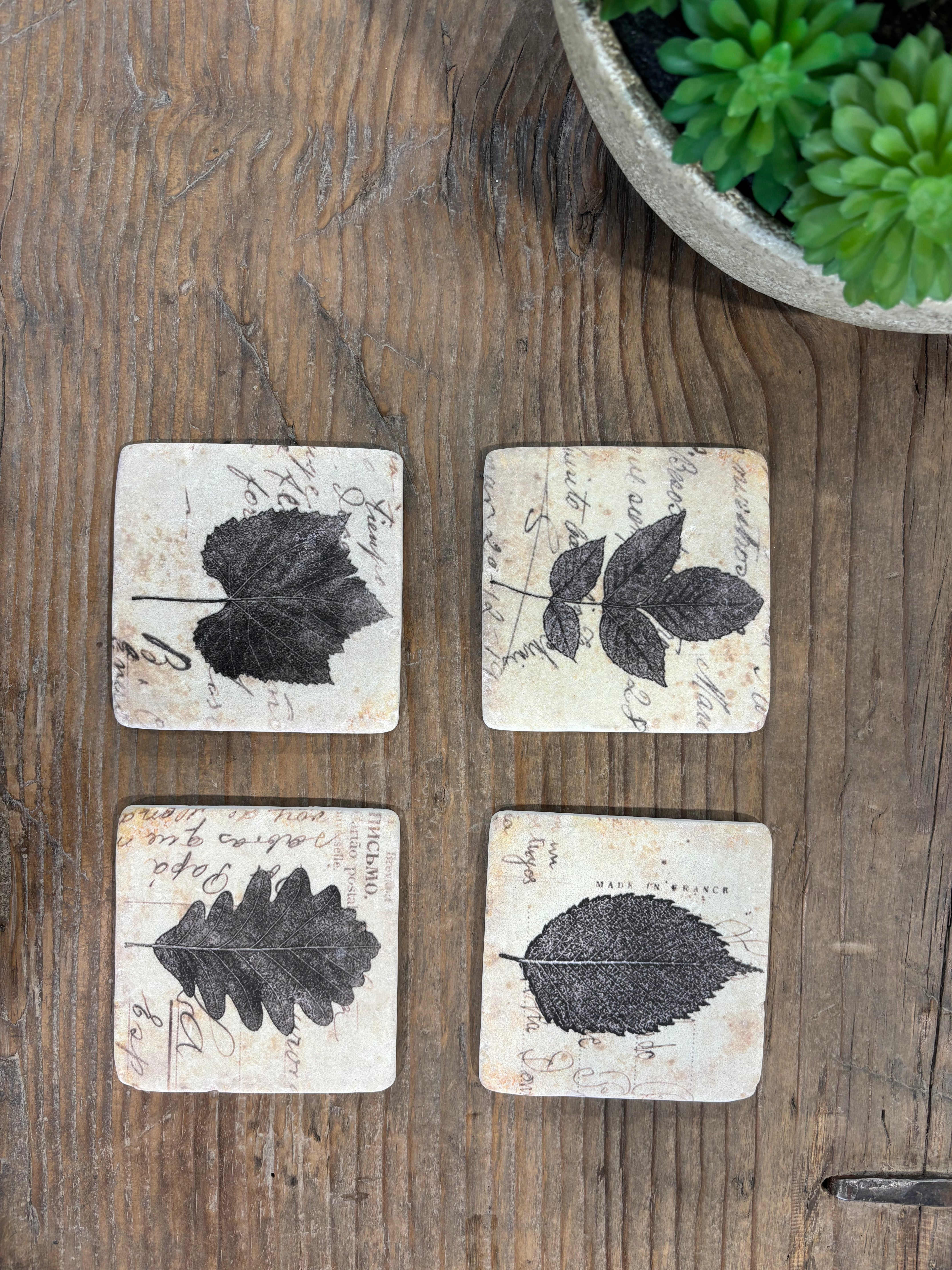 Clayton Set of 4 Leaf Coasters