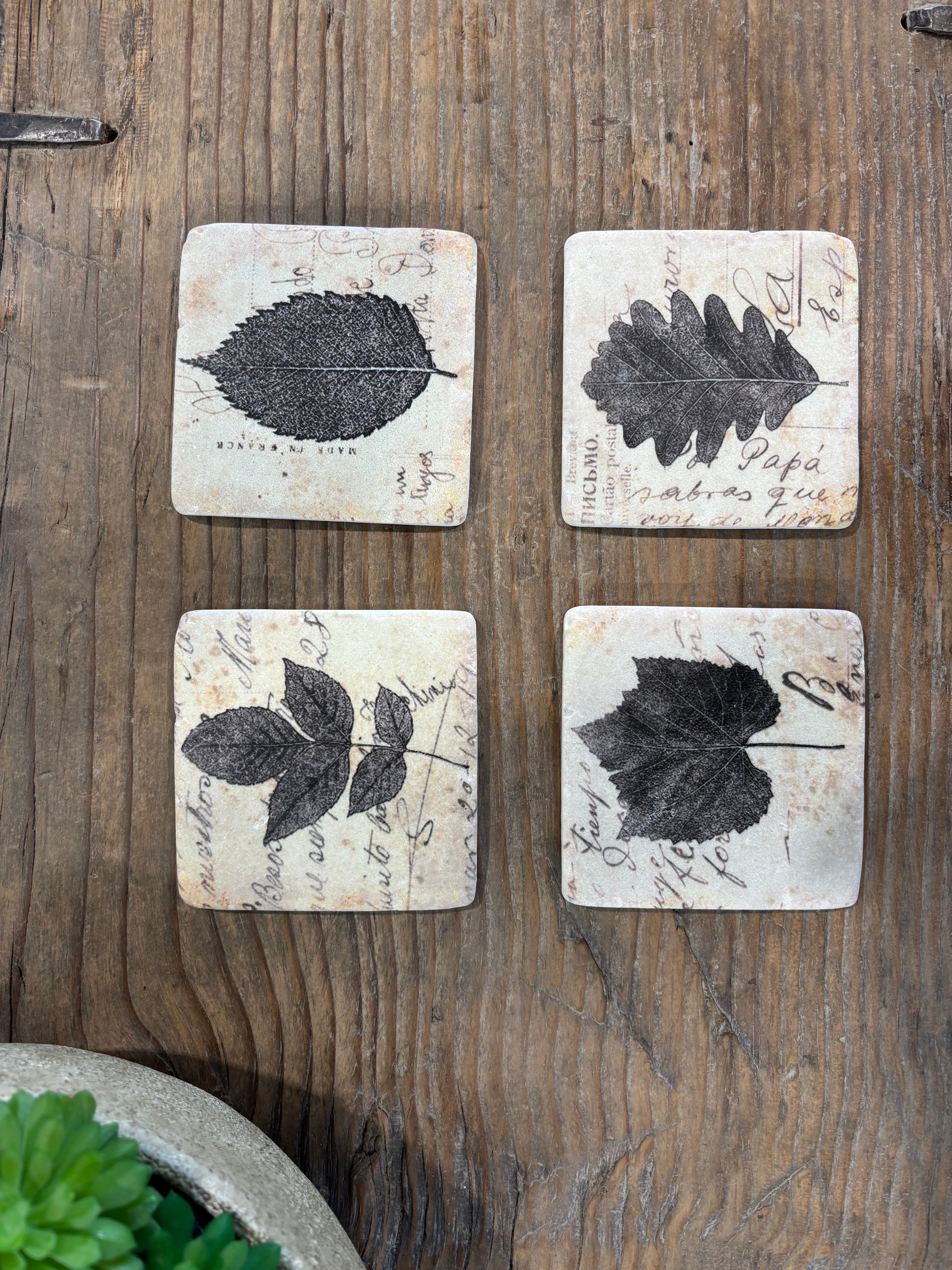 Clayton Set of 4 Leaf Coasters