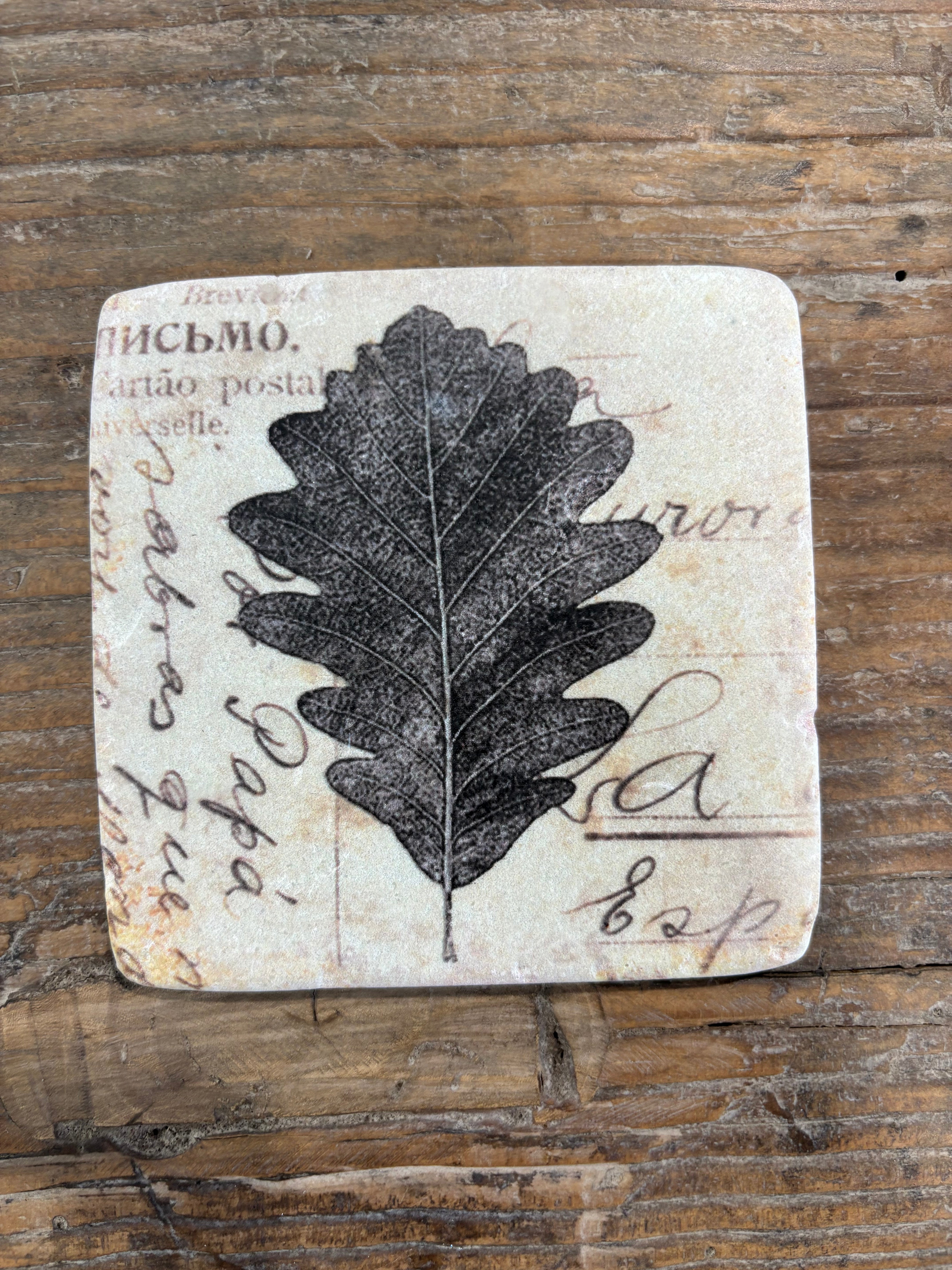 Clayton Set of 4 Leaf Coasters