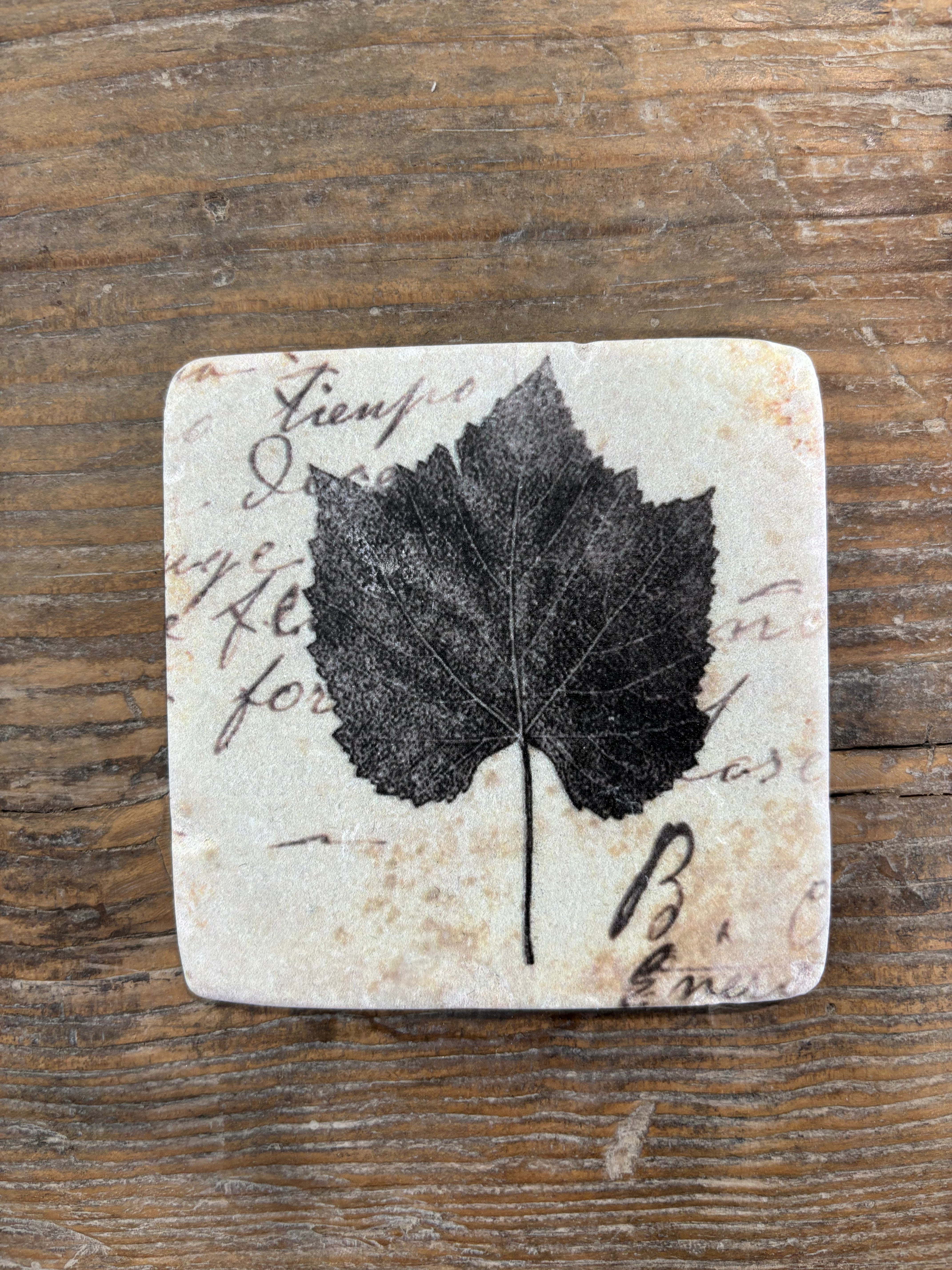 Clayton Set of 4 Leaf Coasters