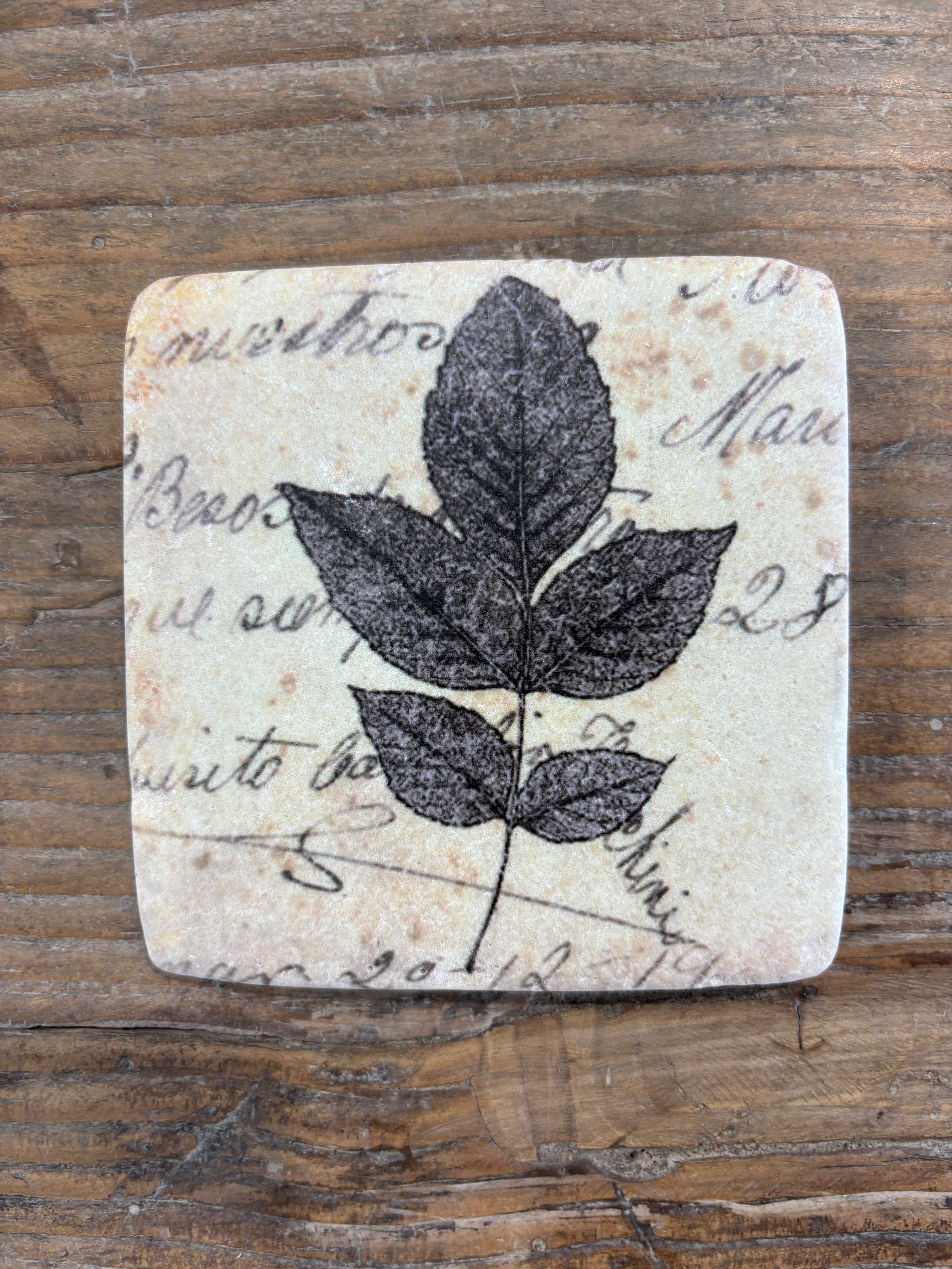Clayton Set of 4 Leaf Coasters