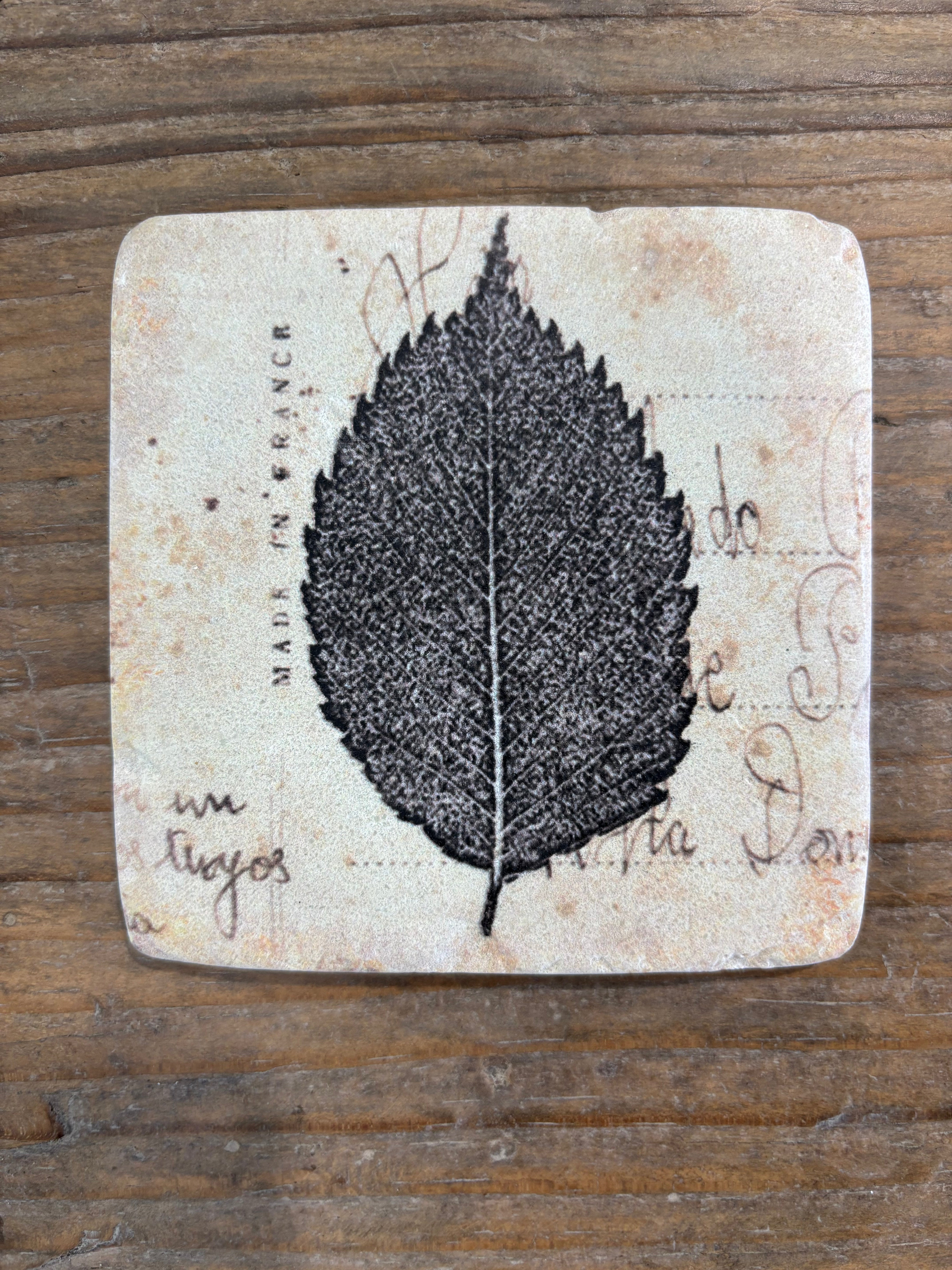 Clayton Set of 4 Leaf Coasters