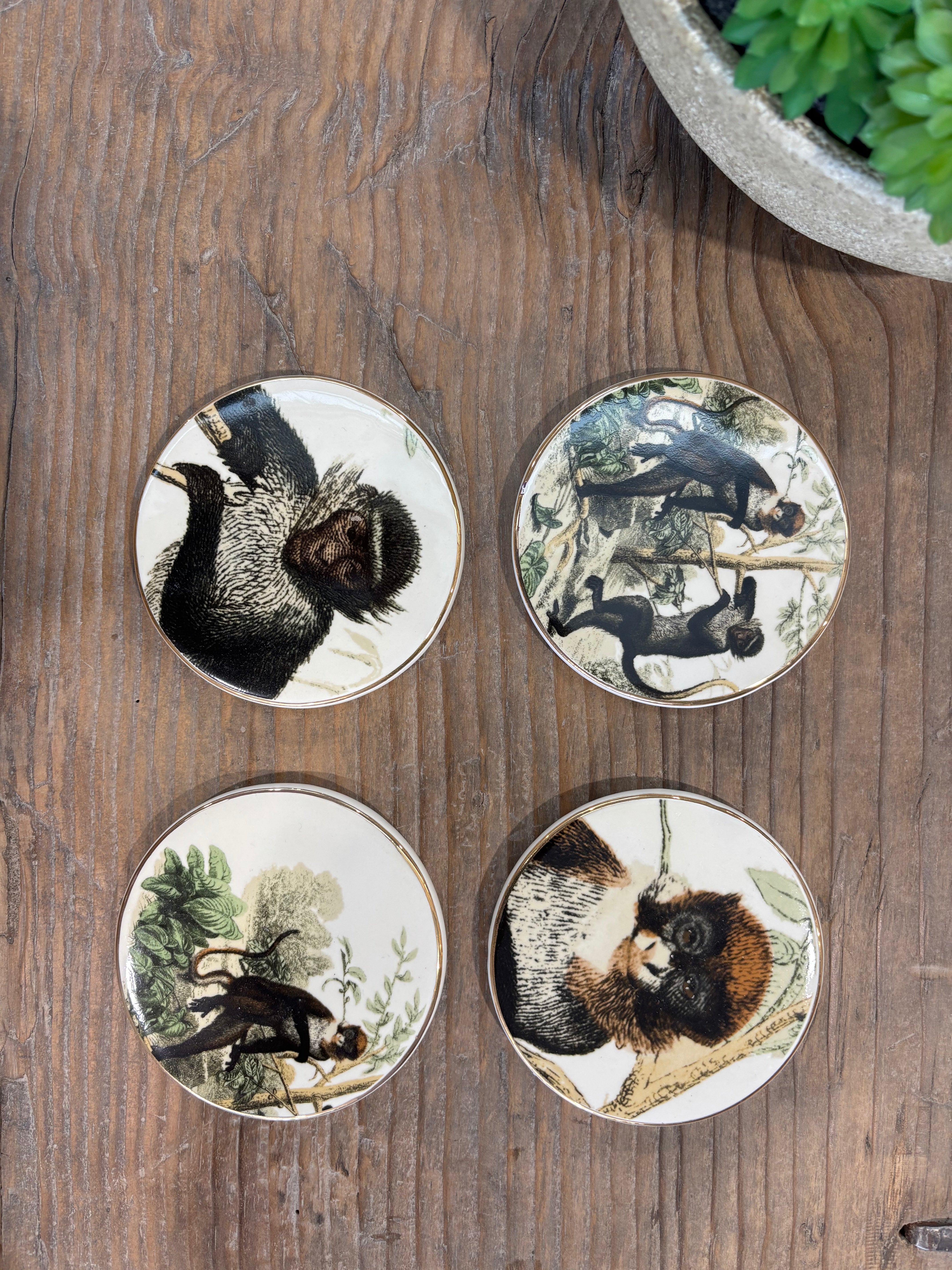 Monkey Coasters - Set of 4