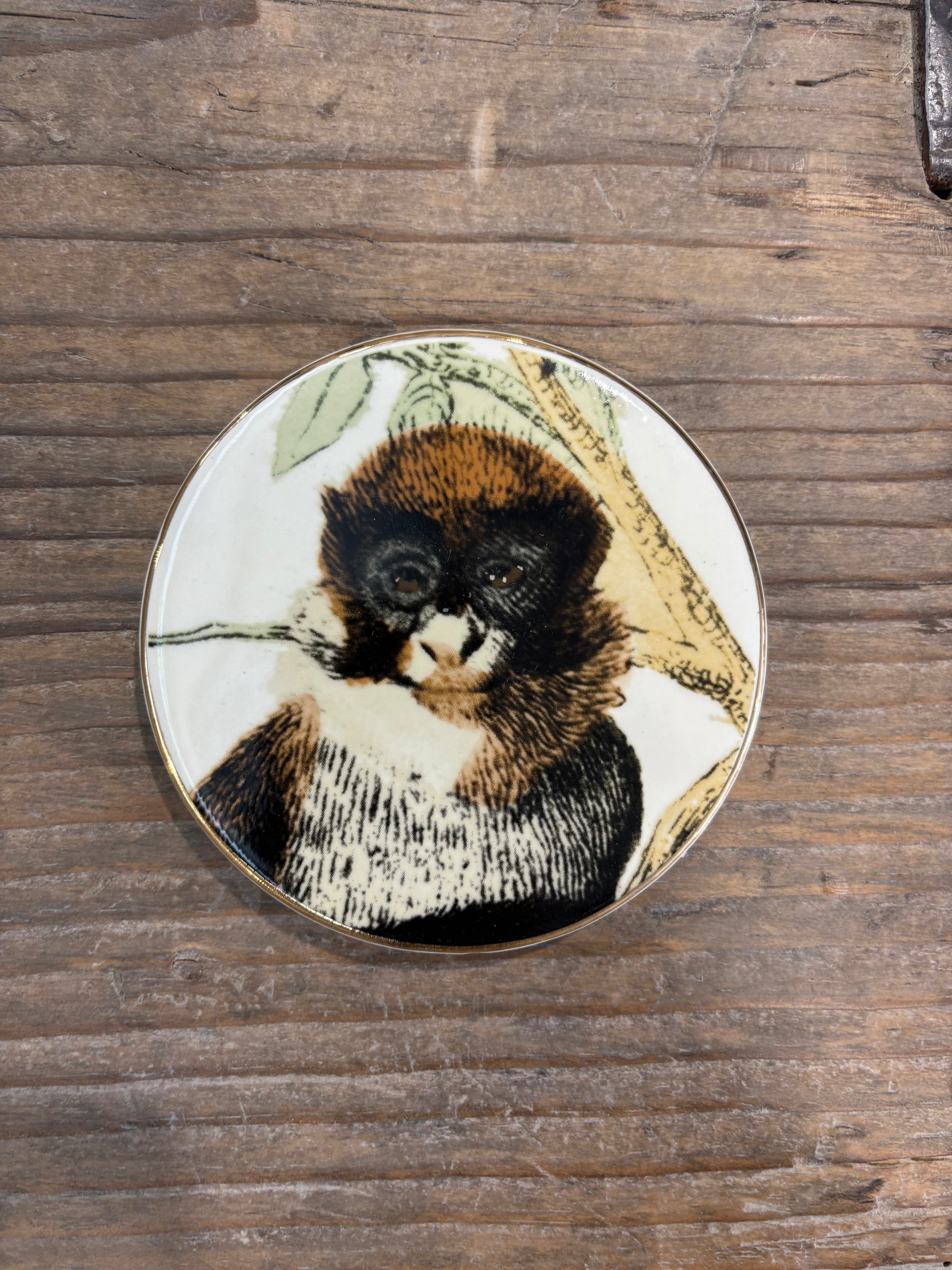 Monkey Coasters - Set of 4