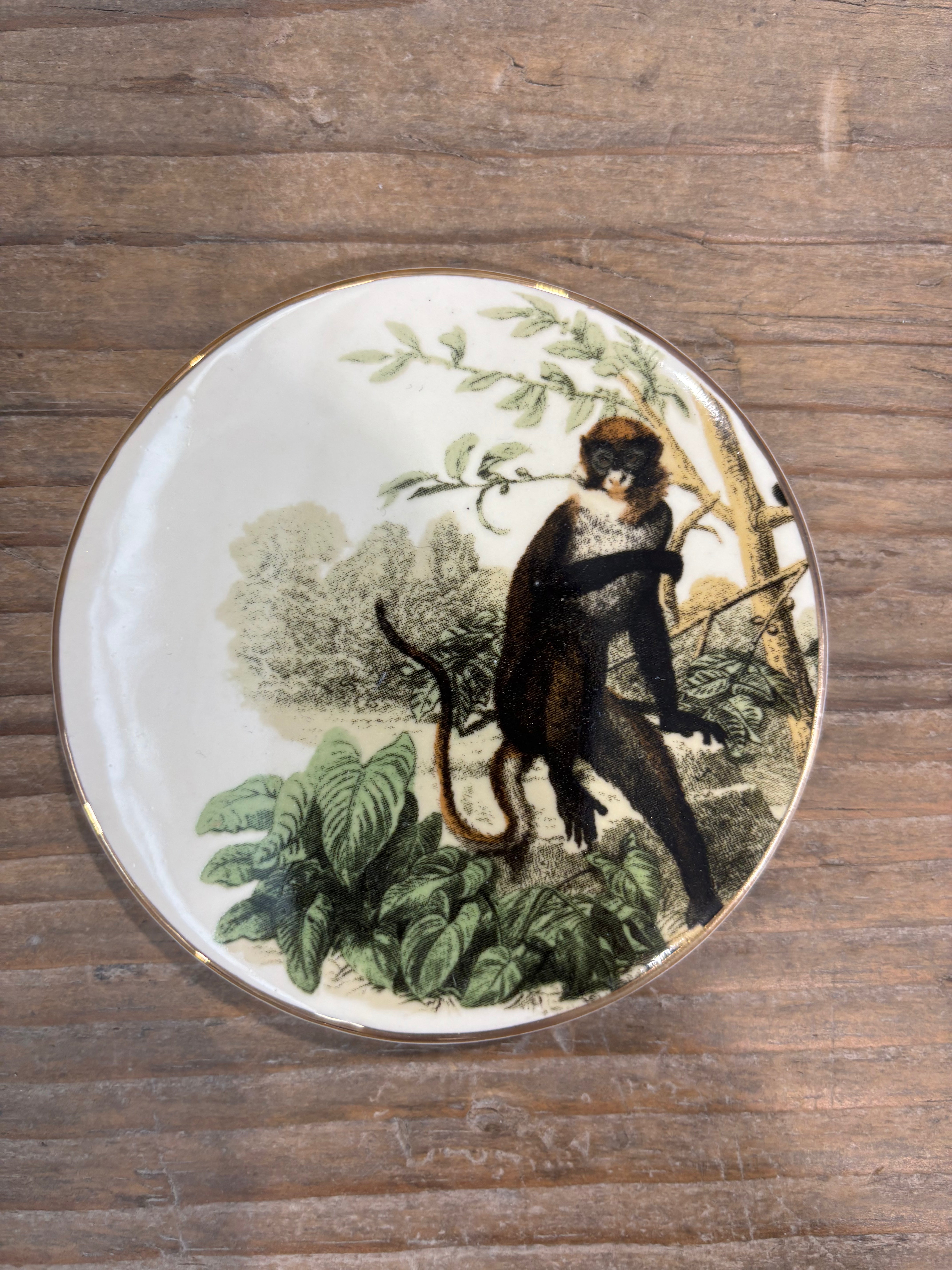 Monkey Coasters - Set of 4