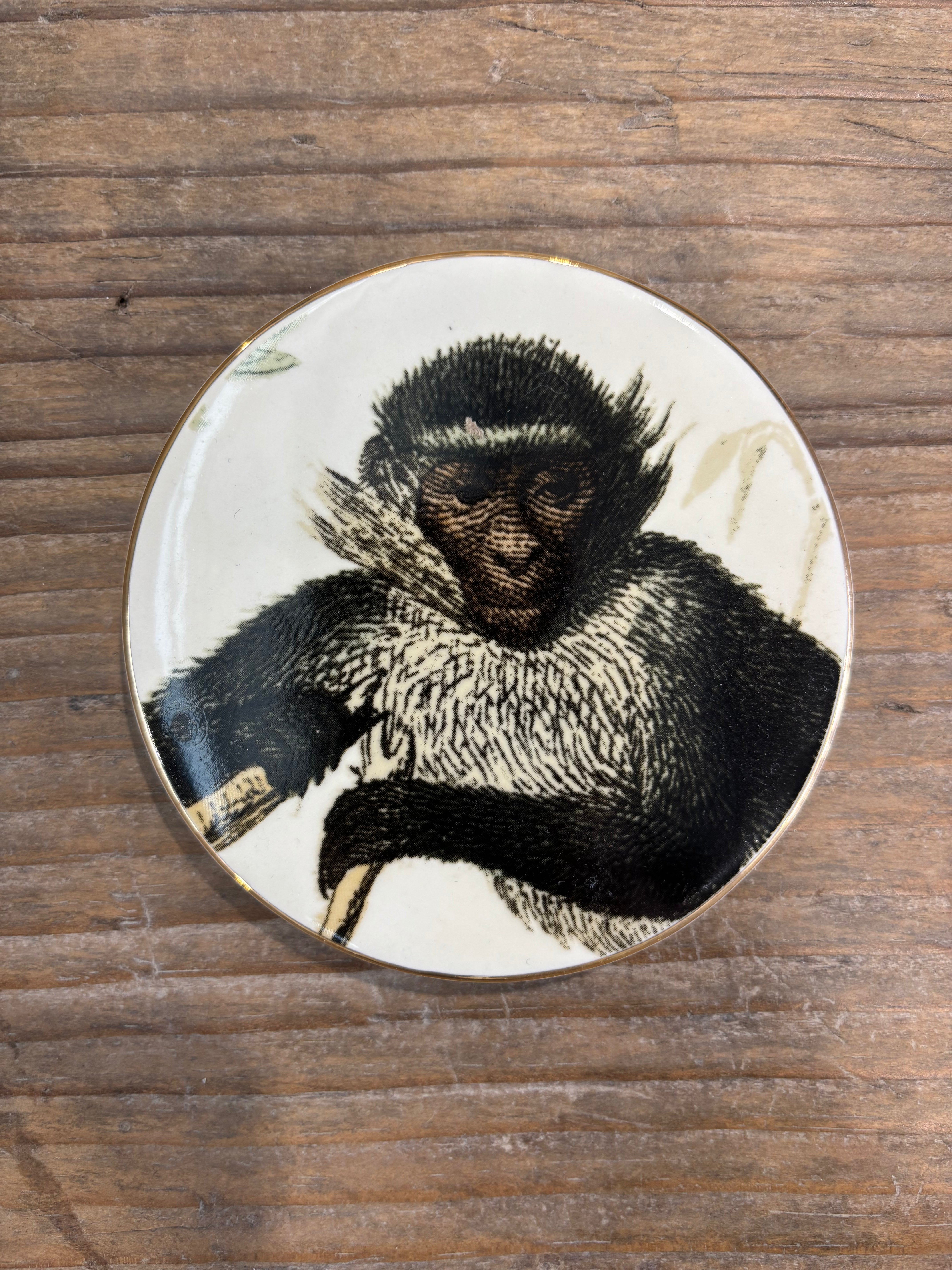 Monkey Coasters - Set of 4
