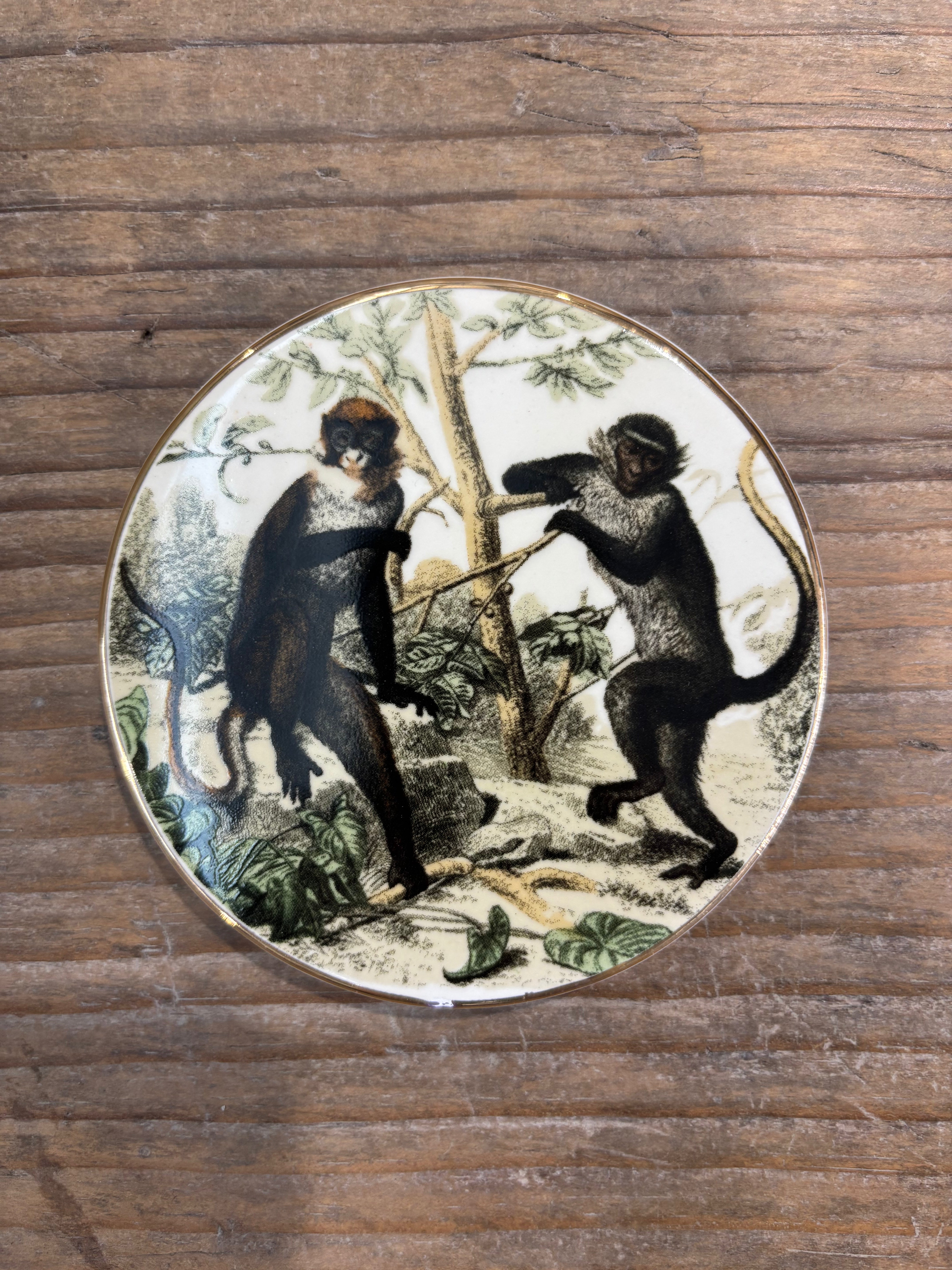 Monkey Coasters - Set of 4