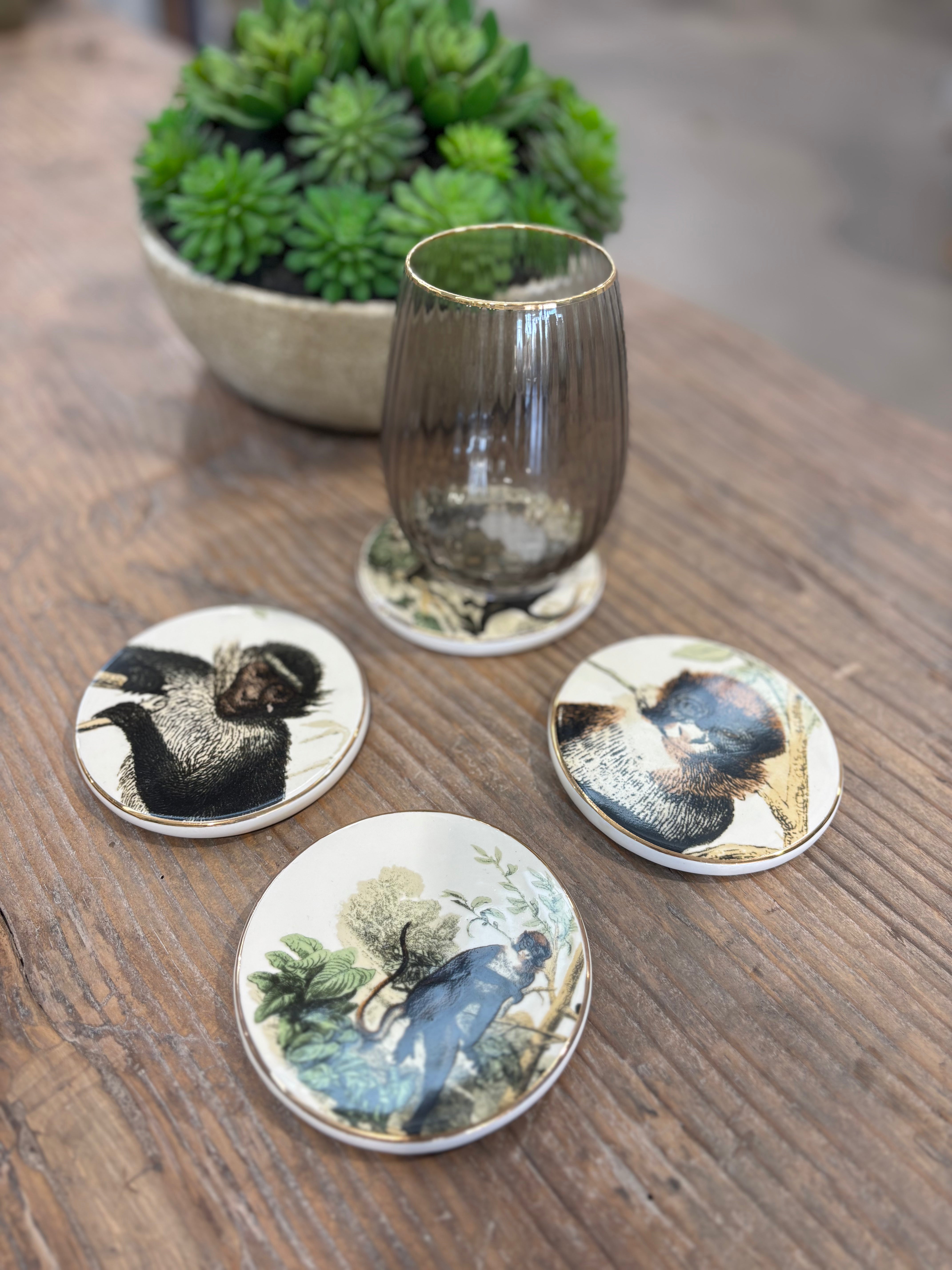 Monkey Coasters - Set of 4