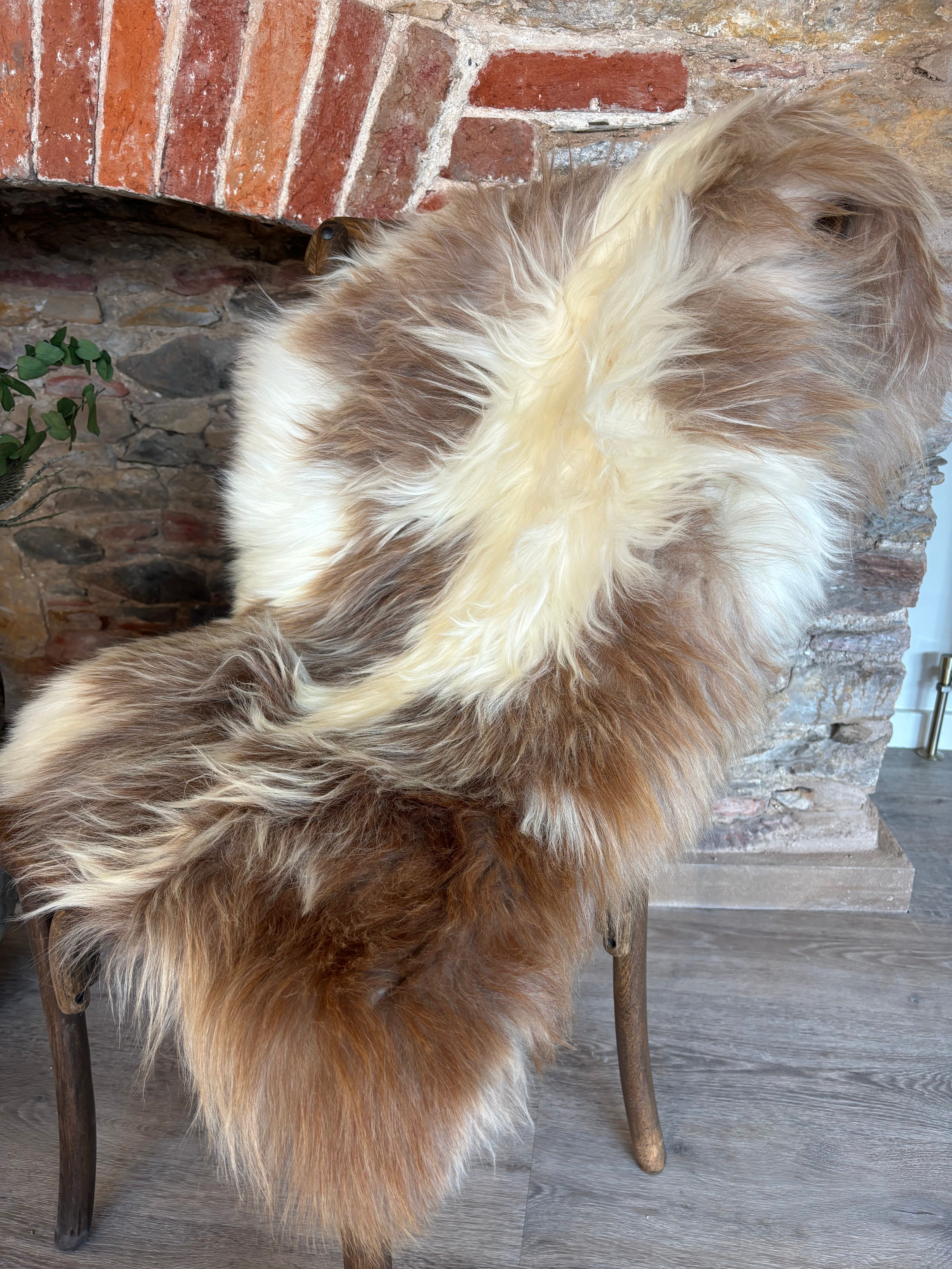 Himalayan Rare Breed Sheepskin