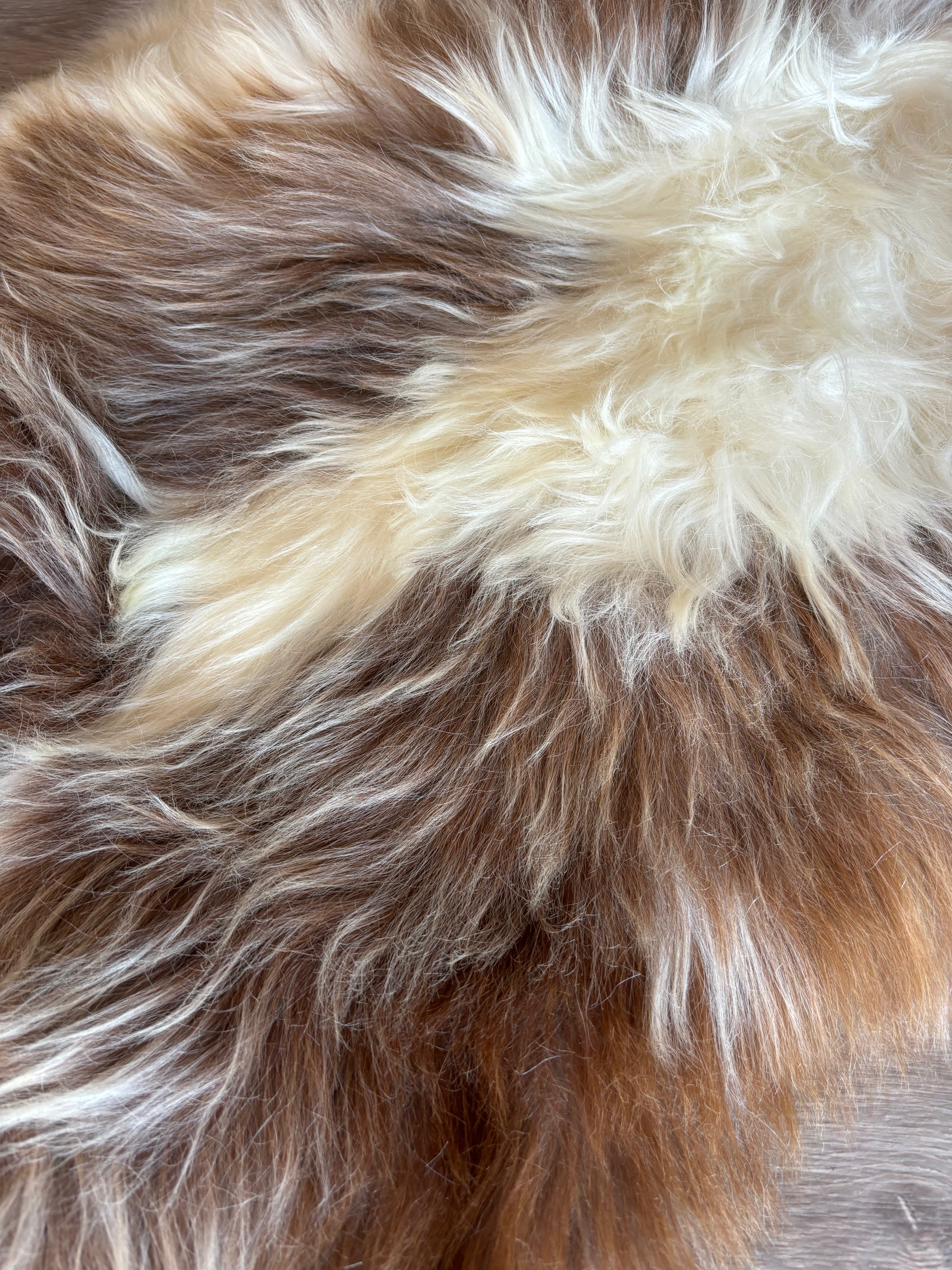 Himalayan Rare Breed Sheepskin