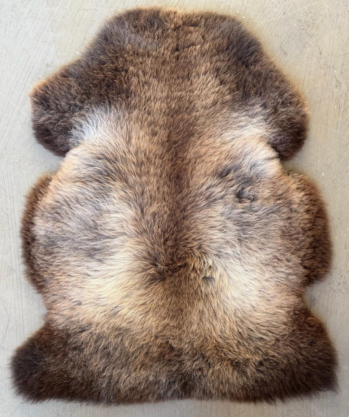 British Rare Breed Sheepskin Dark Brown to Light Brown