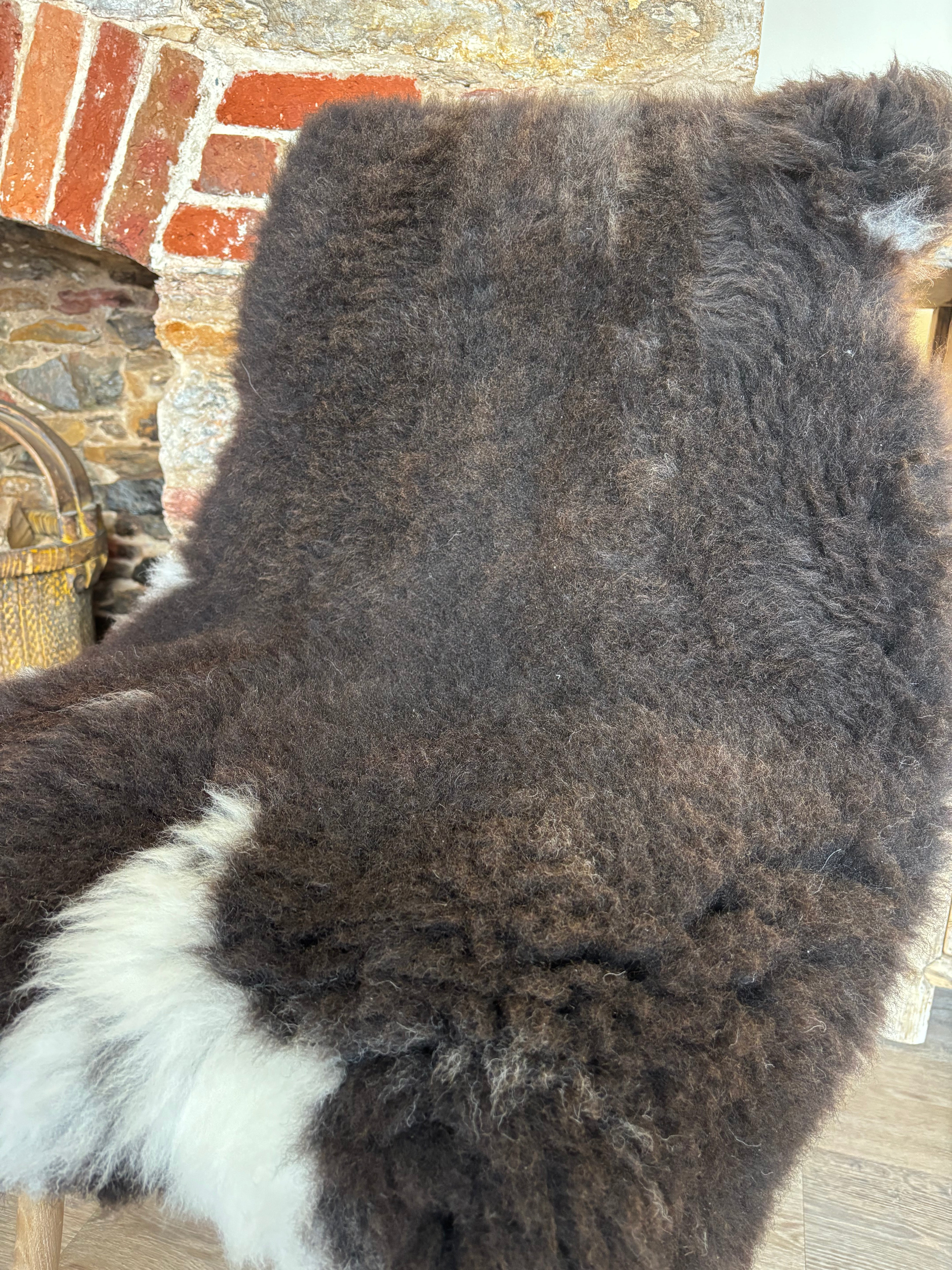 Welsh Mountain Rare Breed Cross Sheepskin