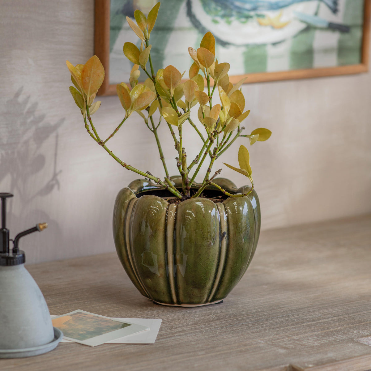 Berrington Rounded Pot