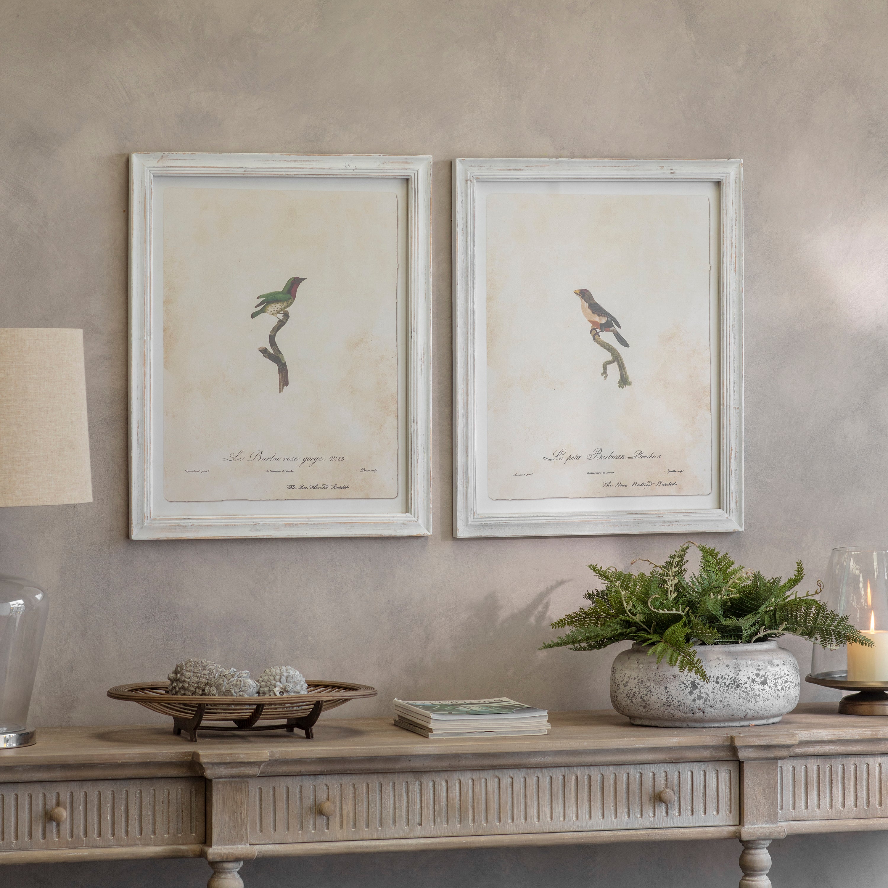 Moreton Set Of 2 Becard and Barbet Framed Prints