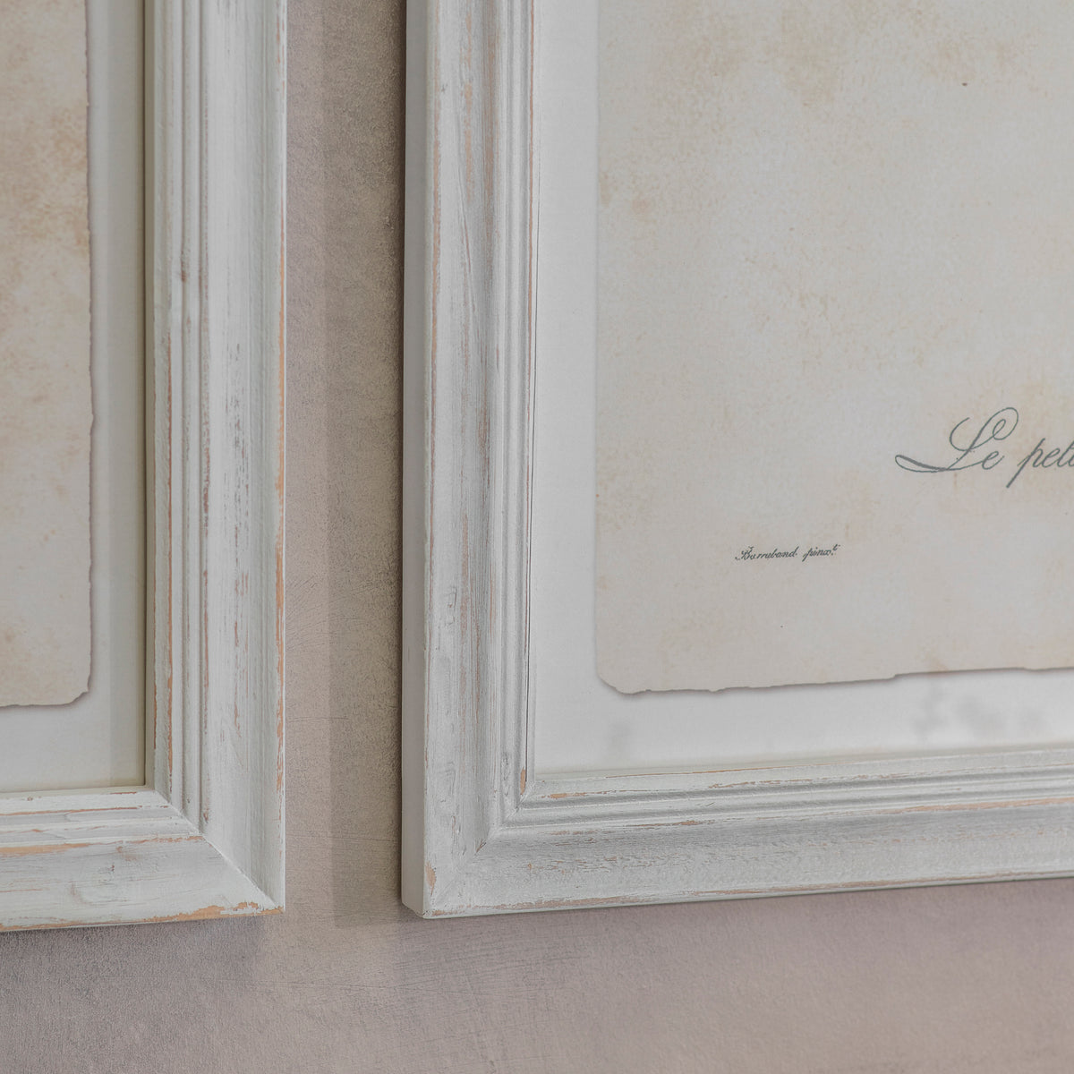 Moreton Set Of 2 Becard and Barbet Framed Prints