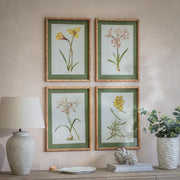 Ormington Set of 4 Flower Framed Prints