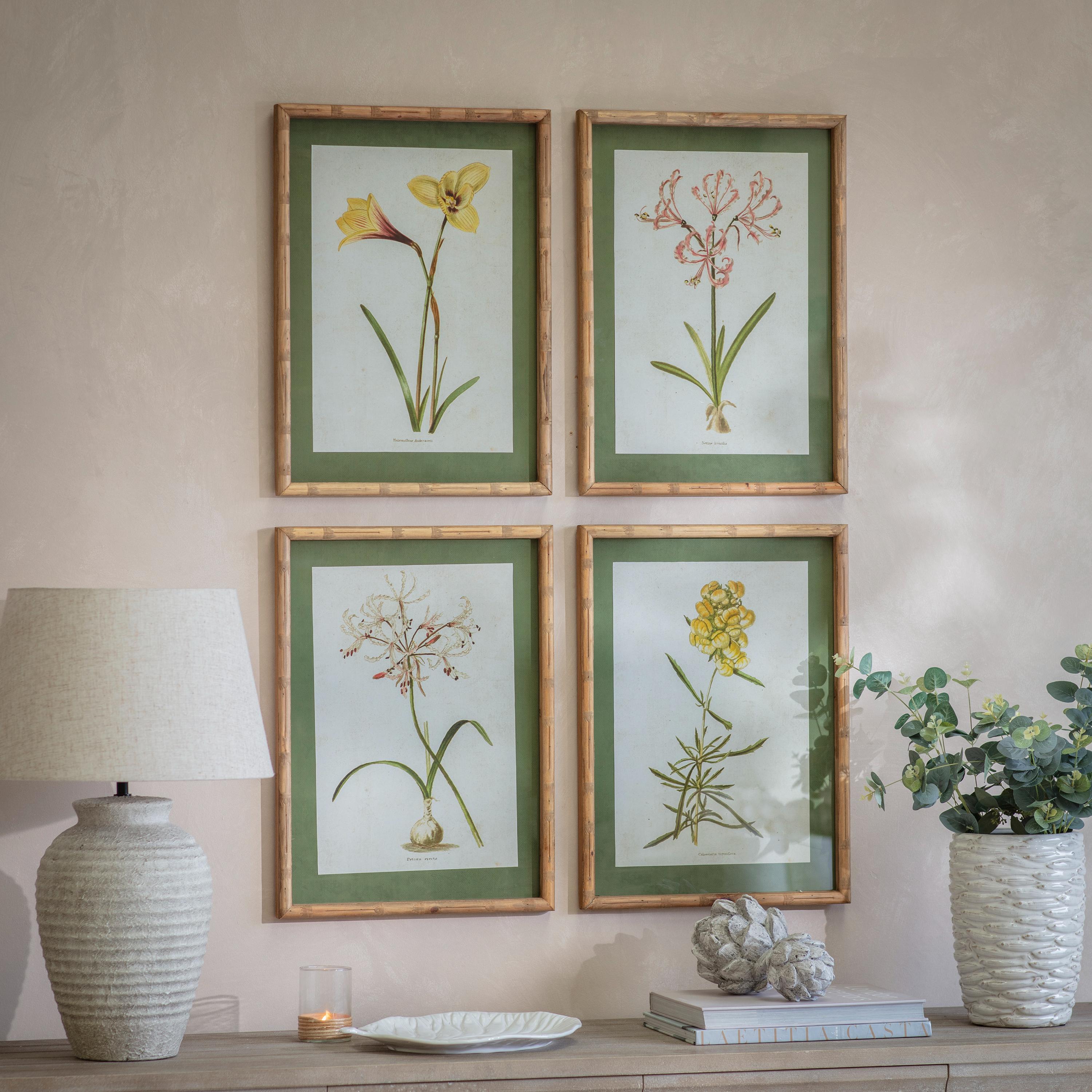 Ormington Set of 4 Flower Framed Prints