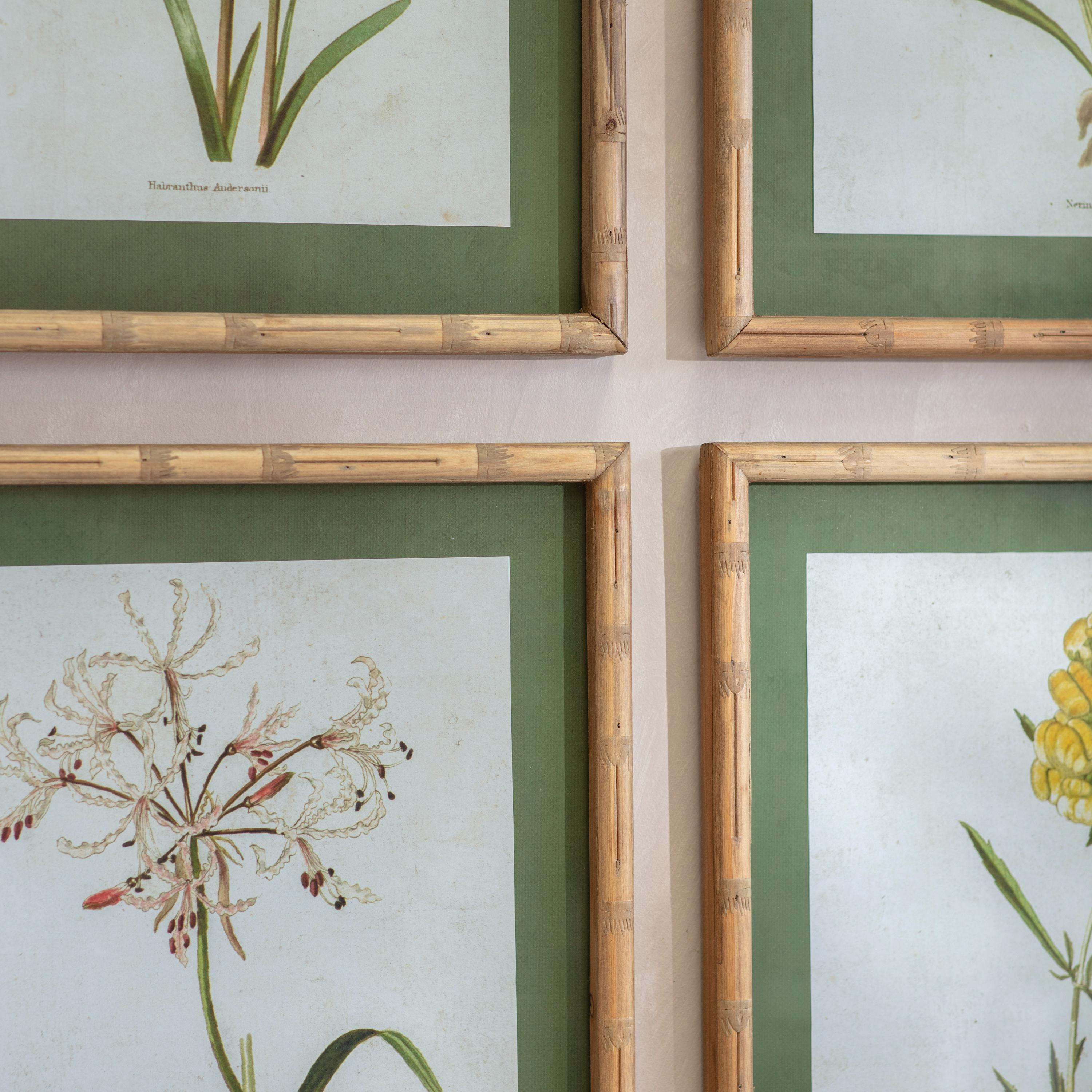 Ormington Set of 4 Flower Framed Prints