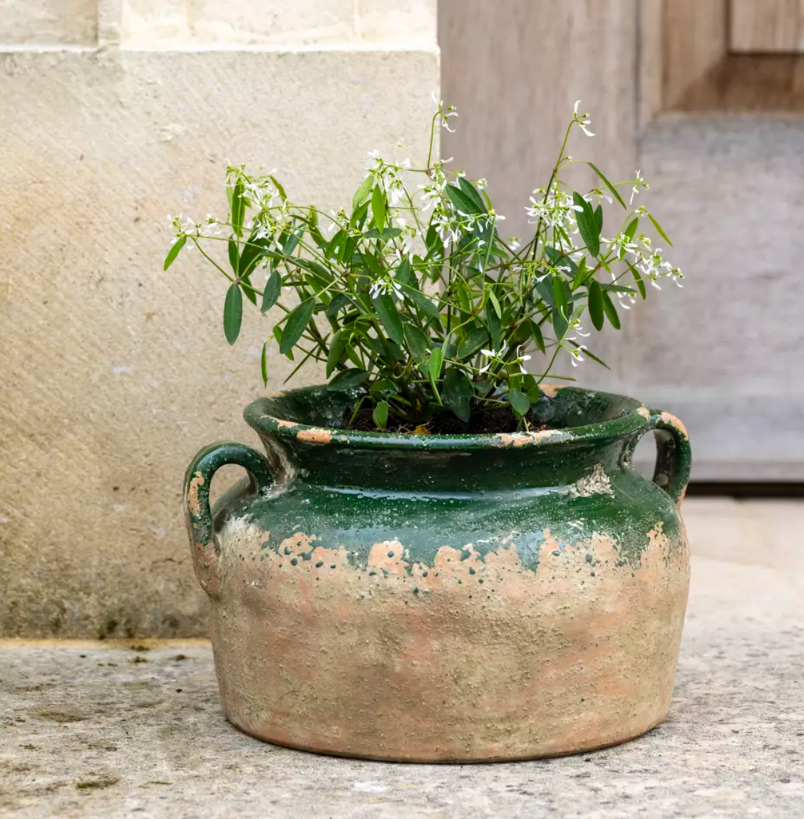 Terracotta Pot Green