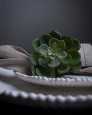 Echeveria Napkin Ring No3