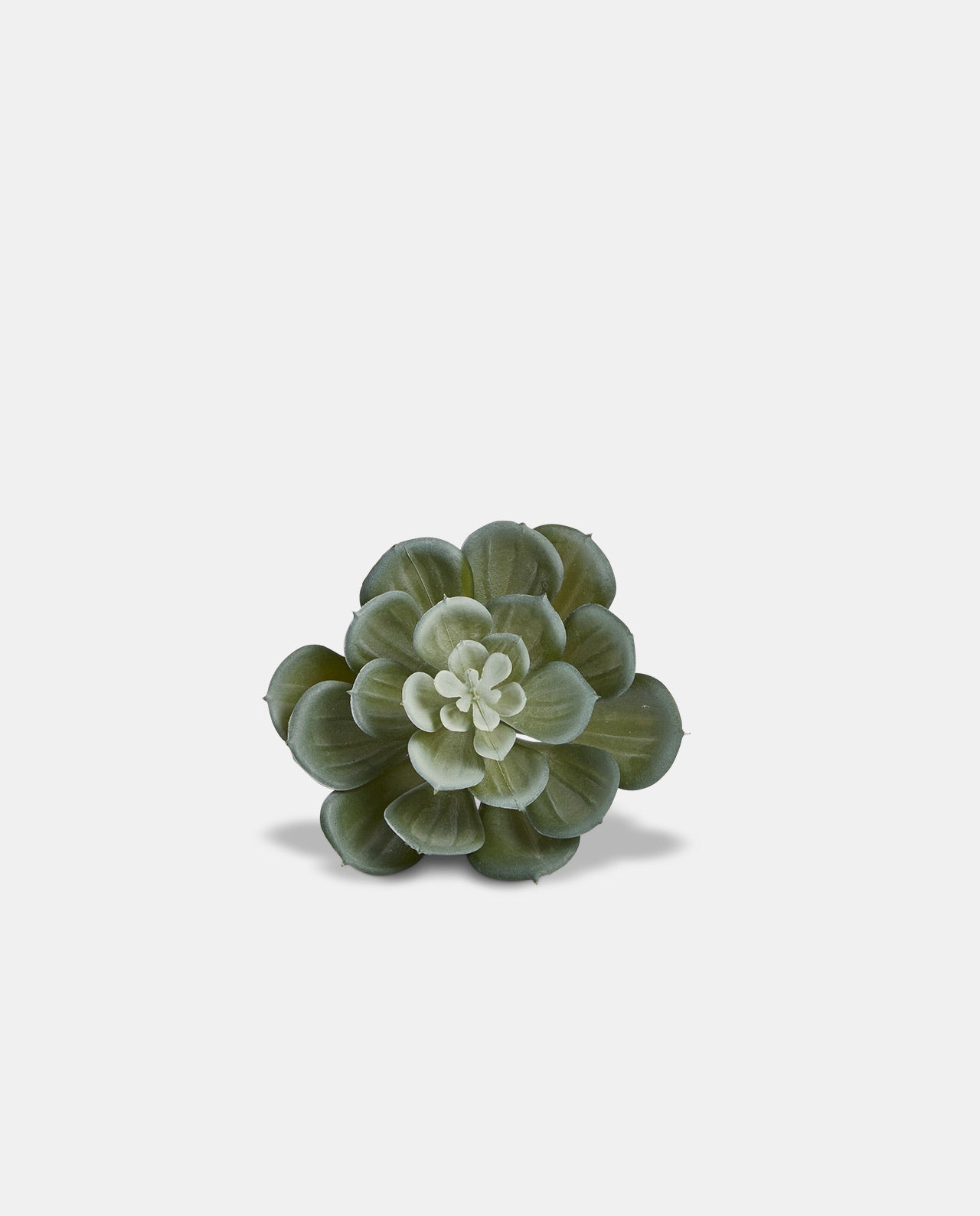 Echeveria Napkin Ring No3