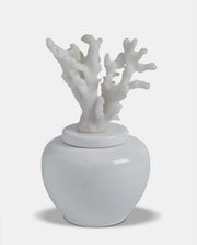 White Porcelain Coral Jar