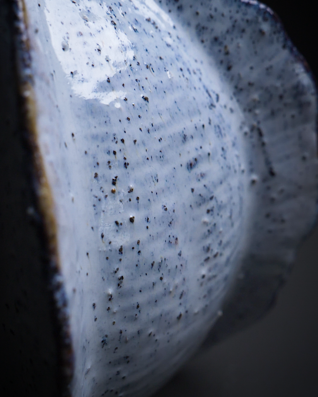 Aged White Ceramic Carambola Seed Medium
